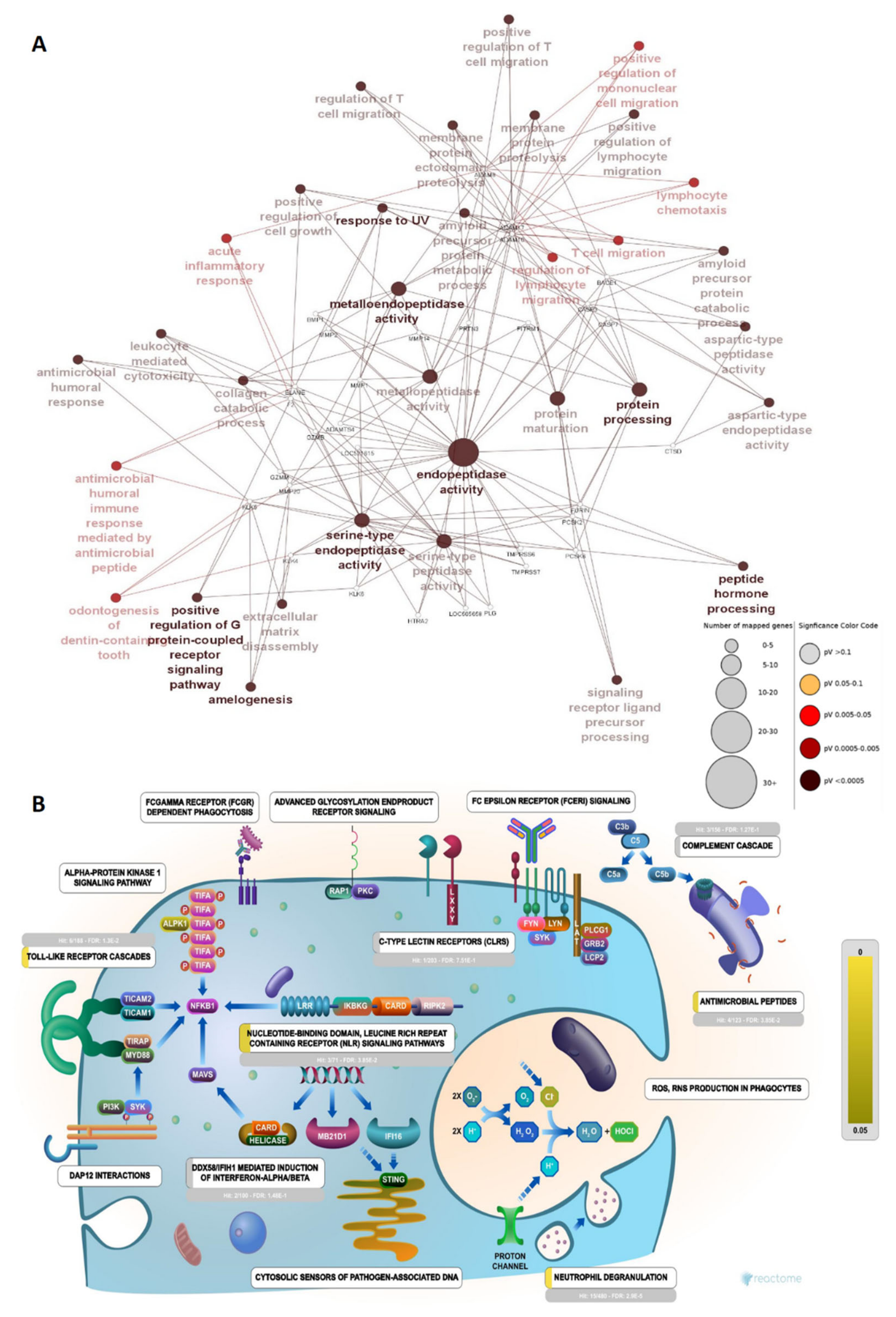 Antibiotics 13 00299 g006 Antibiotics 13 00299 g006