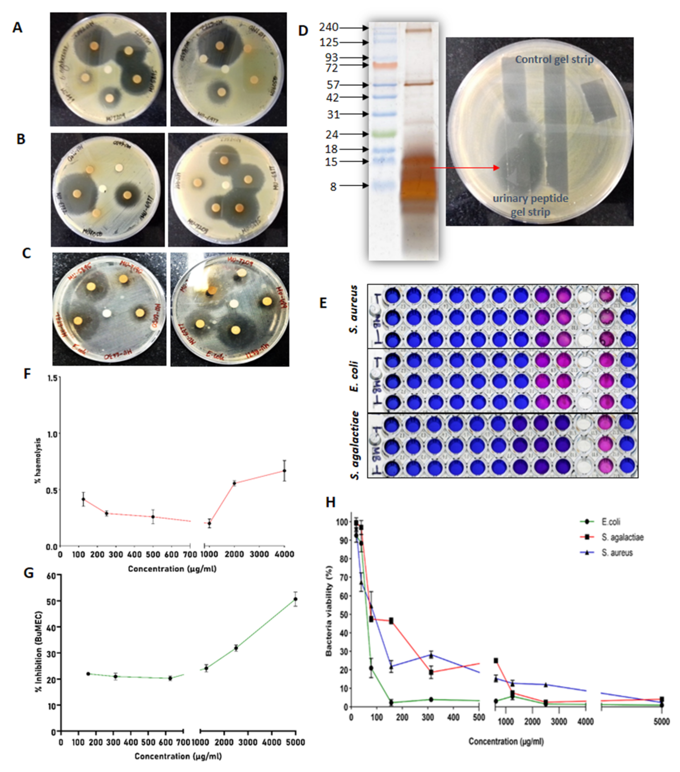 Antibiotics 13 00299 g008 Antibiotics 13 00299 g008