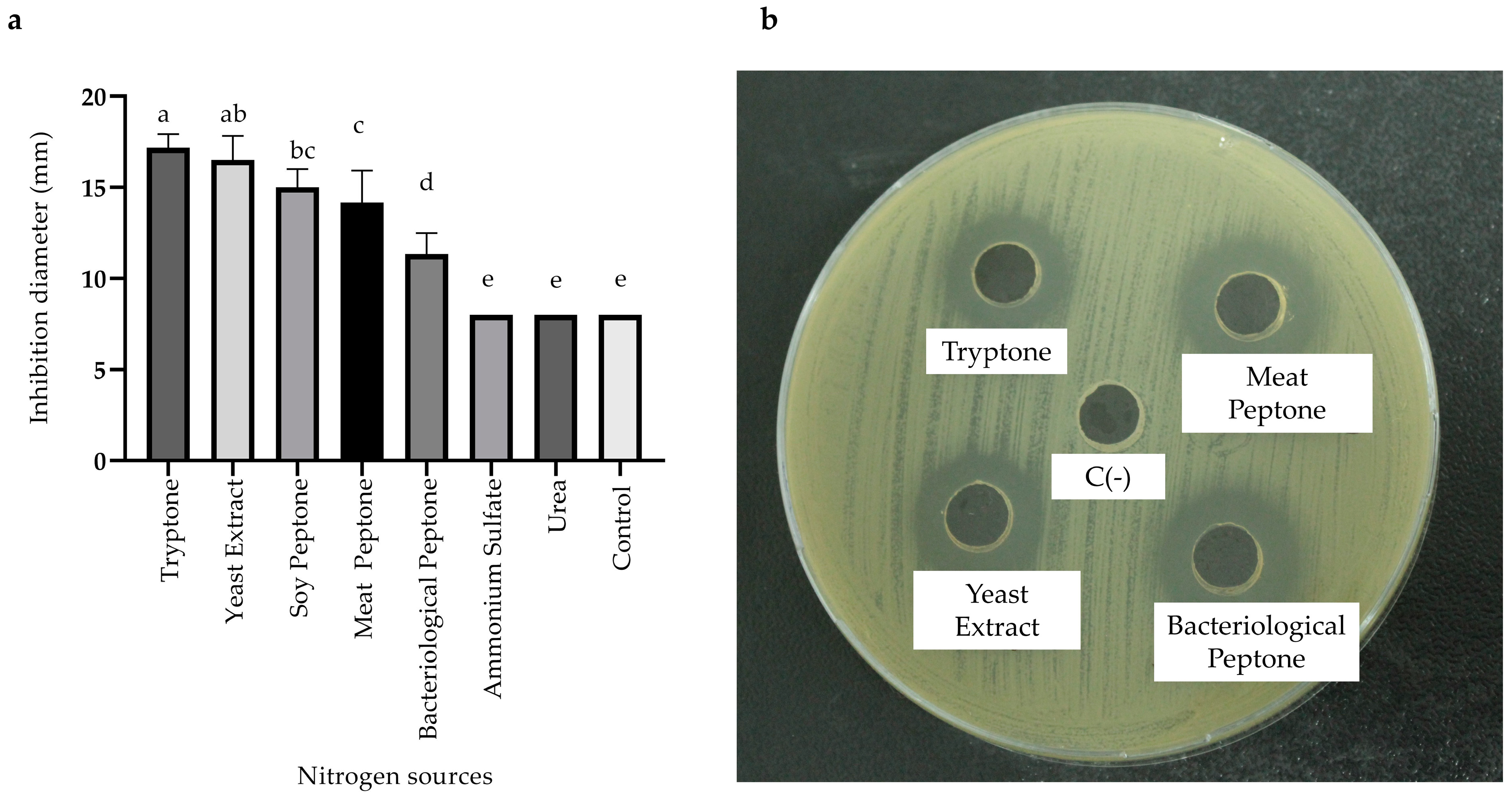 Antibiotics 13 00304 g004 Antibiotics 13 00304 g004