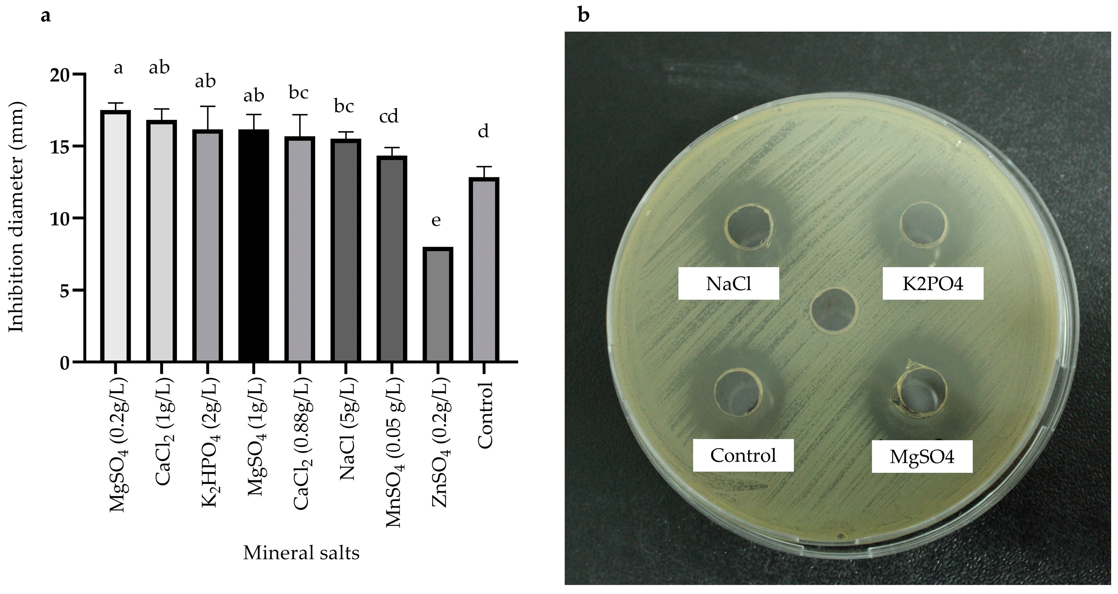 Antibiotics 13 00304 g005 Antibiotics 13 00304 g005