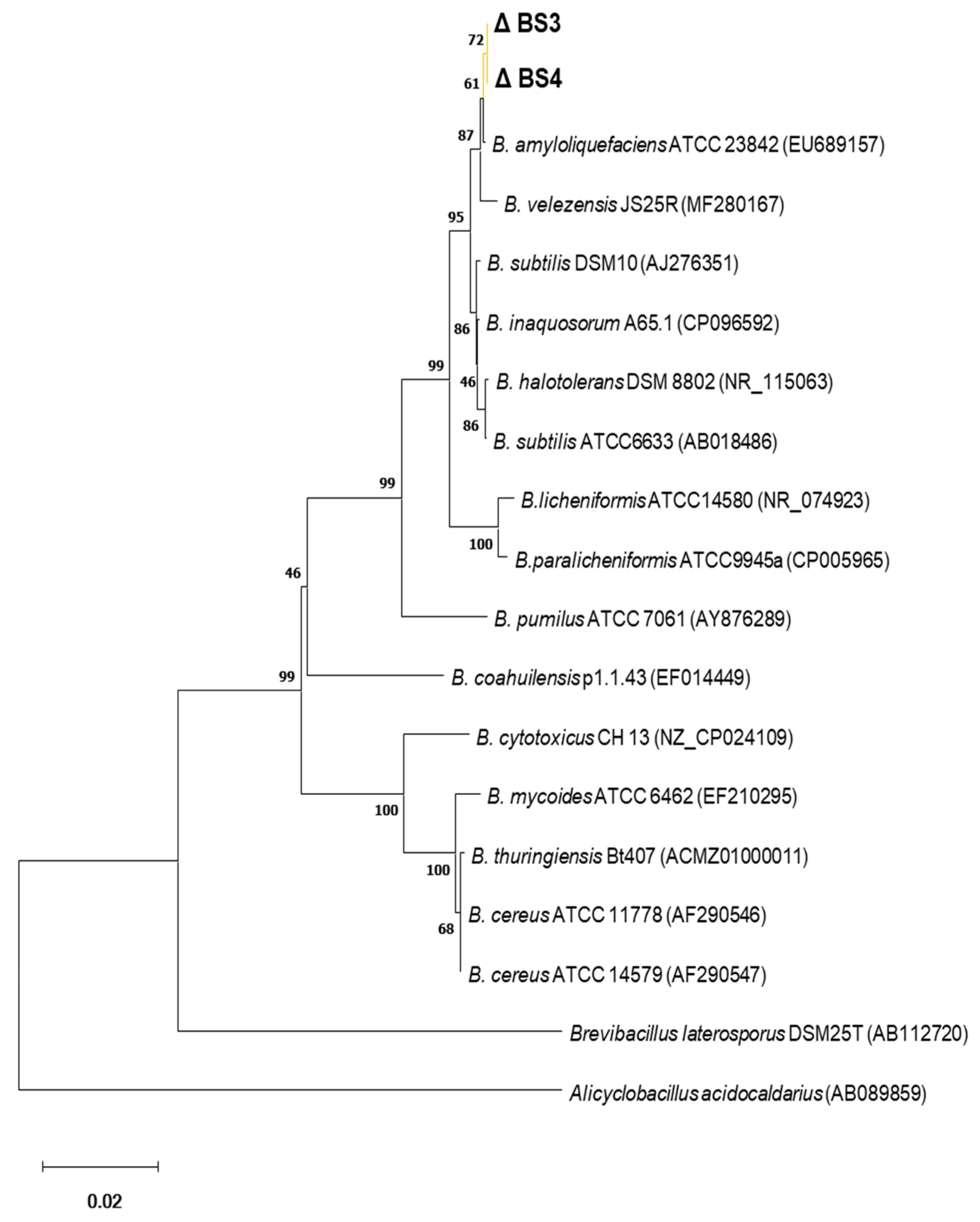 Antibiotics 13 00304 g010 Antibiotics 13 00304 g010