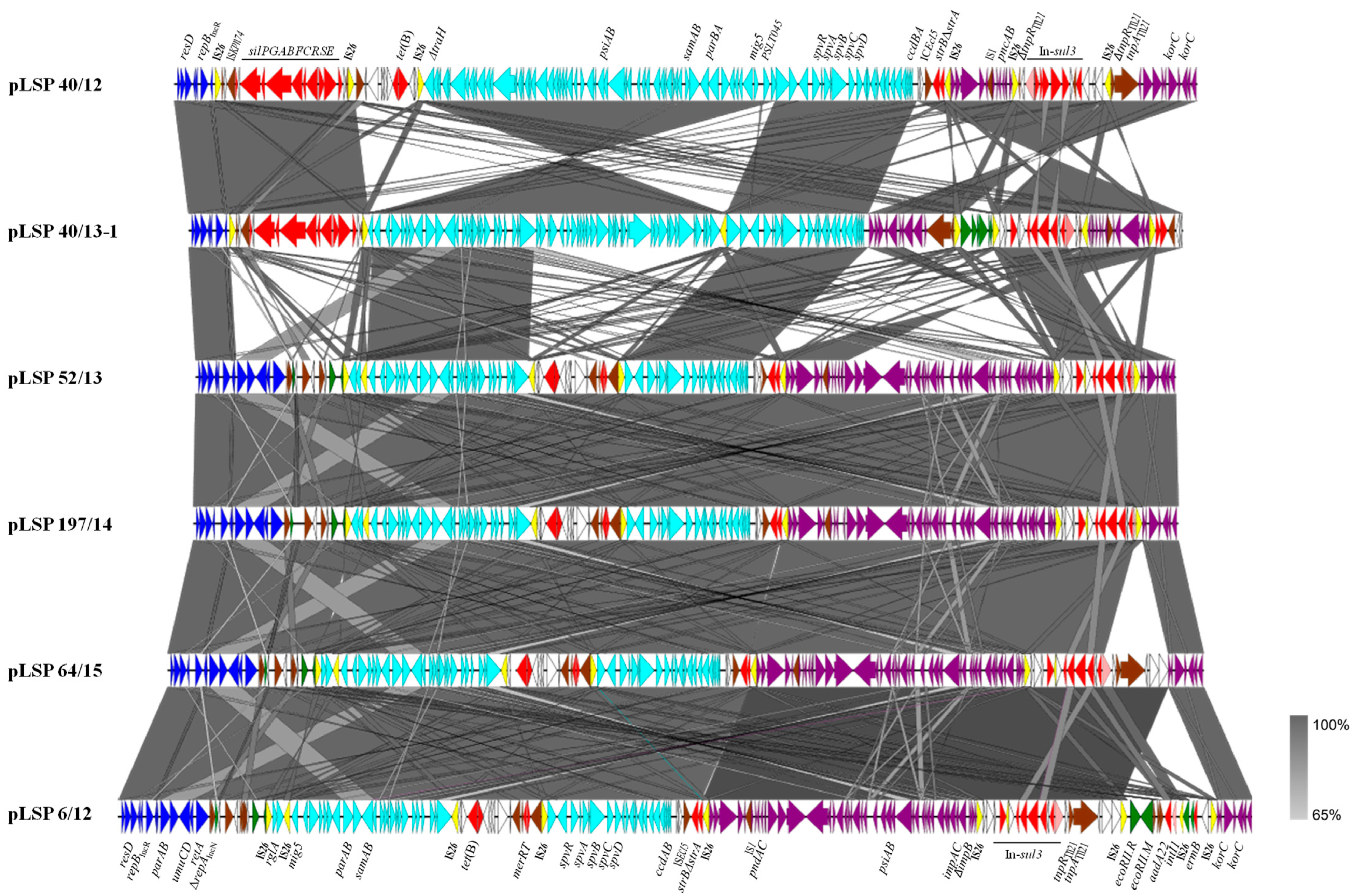 Antibiotics 13 00314 g001 Antibiotics 13 00314 g001