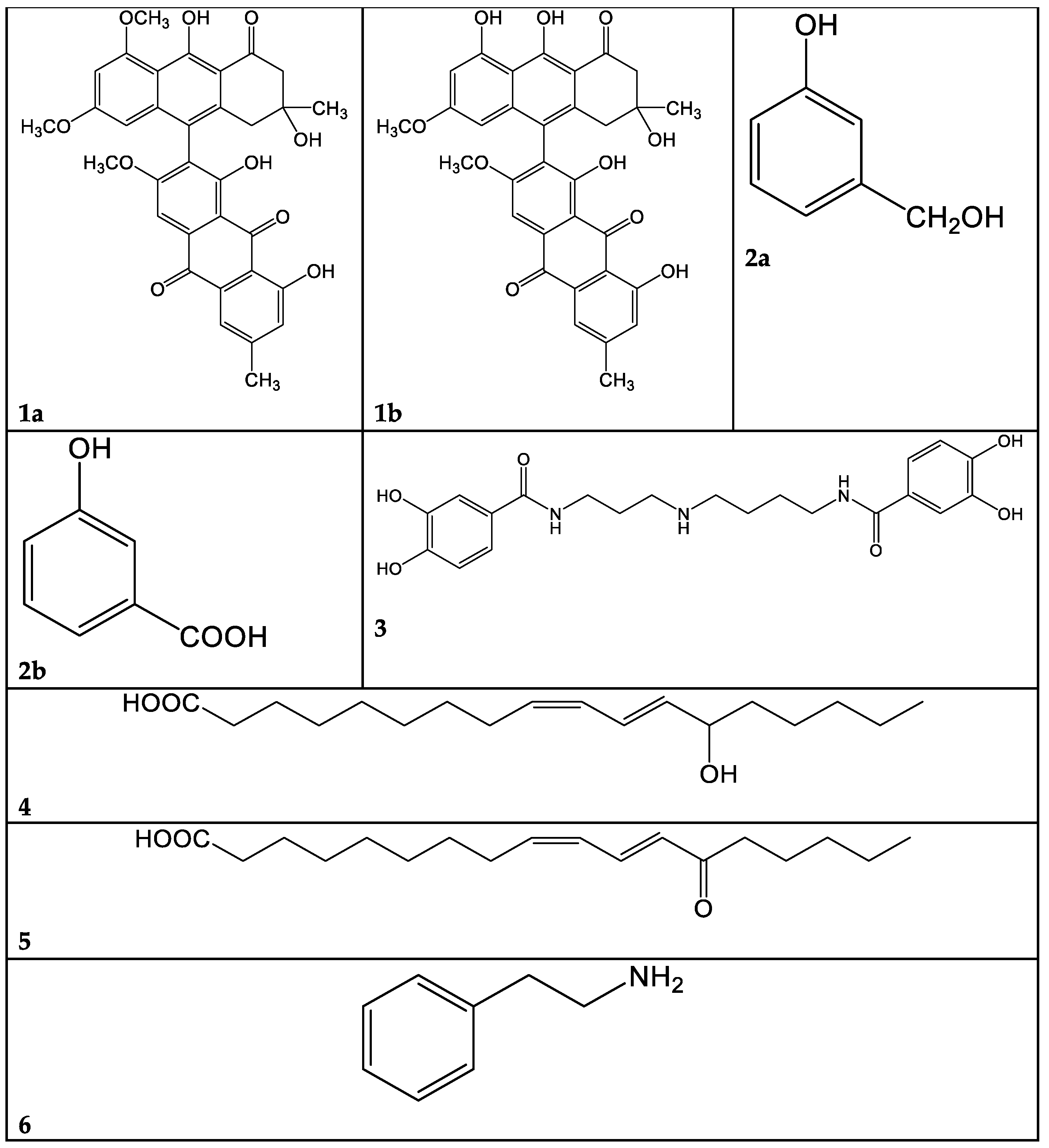 Antibiotics 13 00326 g003