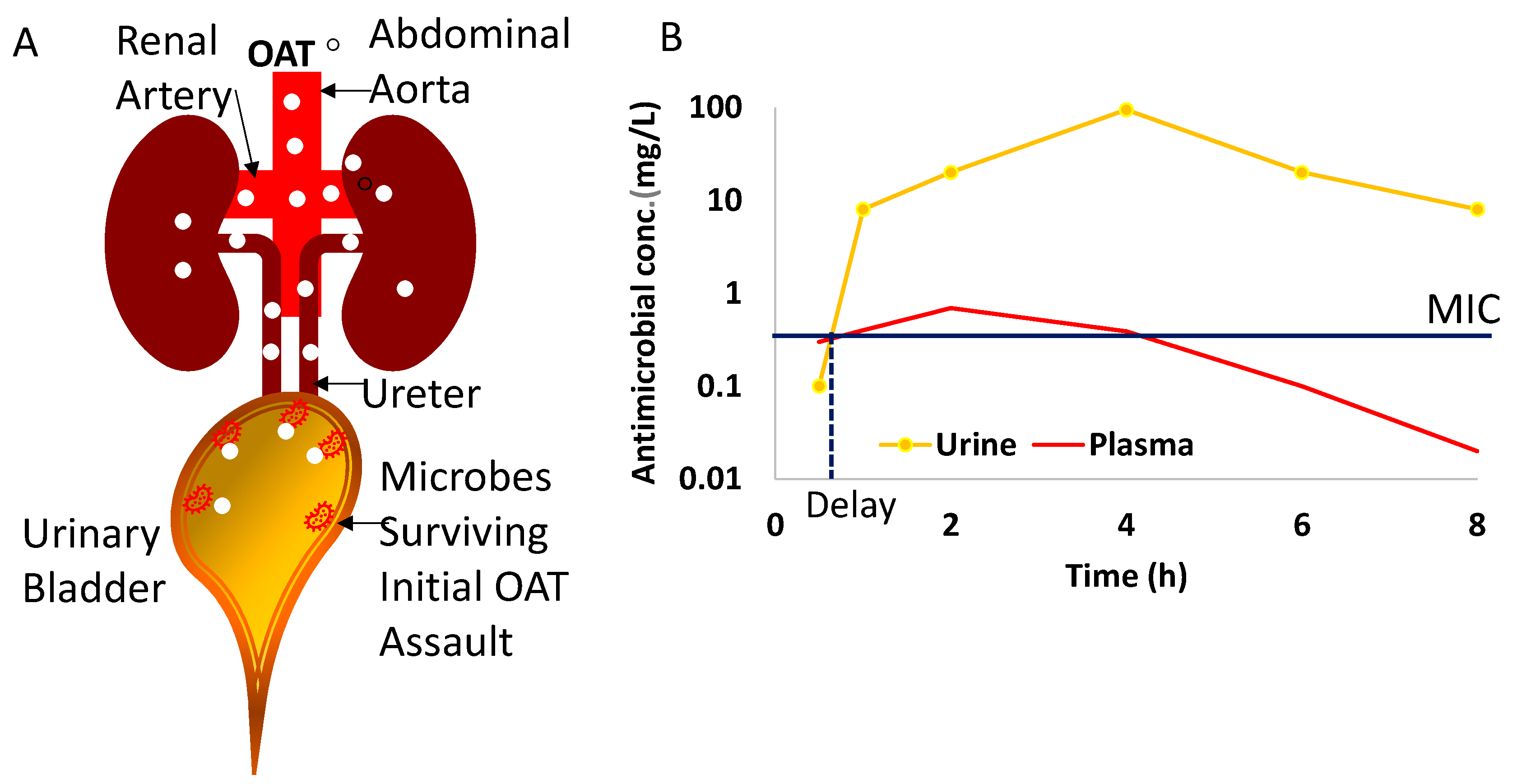 Antibiotics 13 00328 g002 Antibiotics 13 00328 g002
