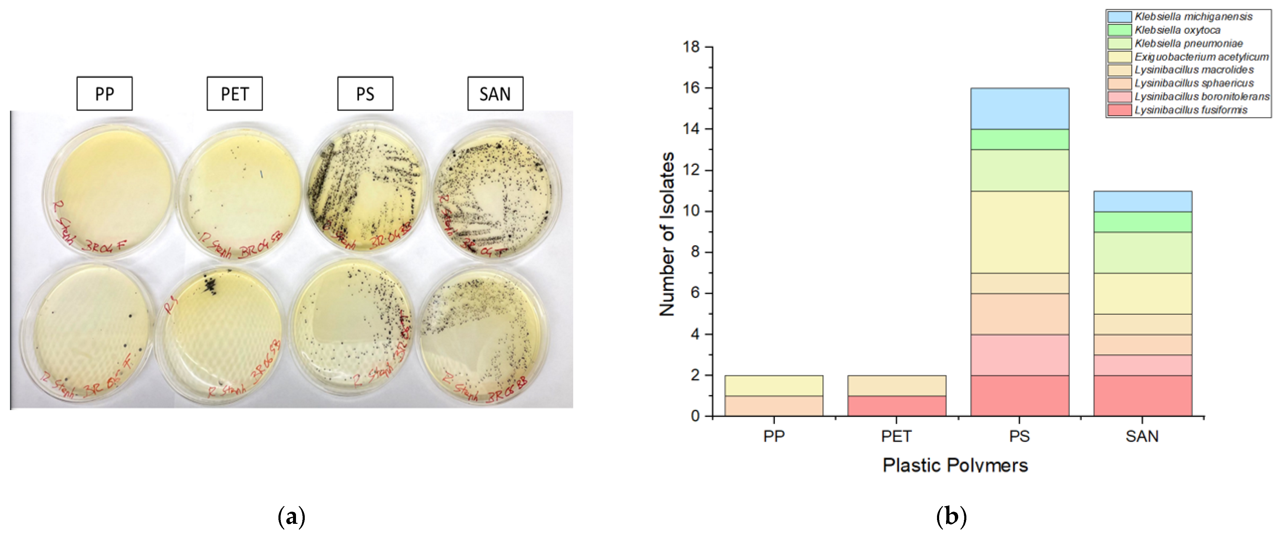 Antibiotics 13 00339 g002