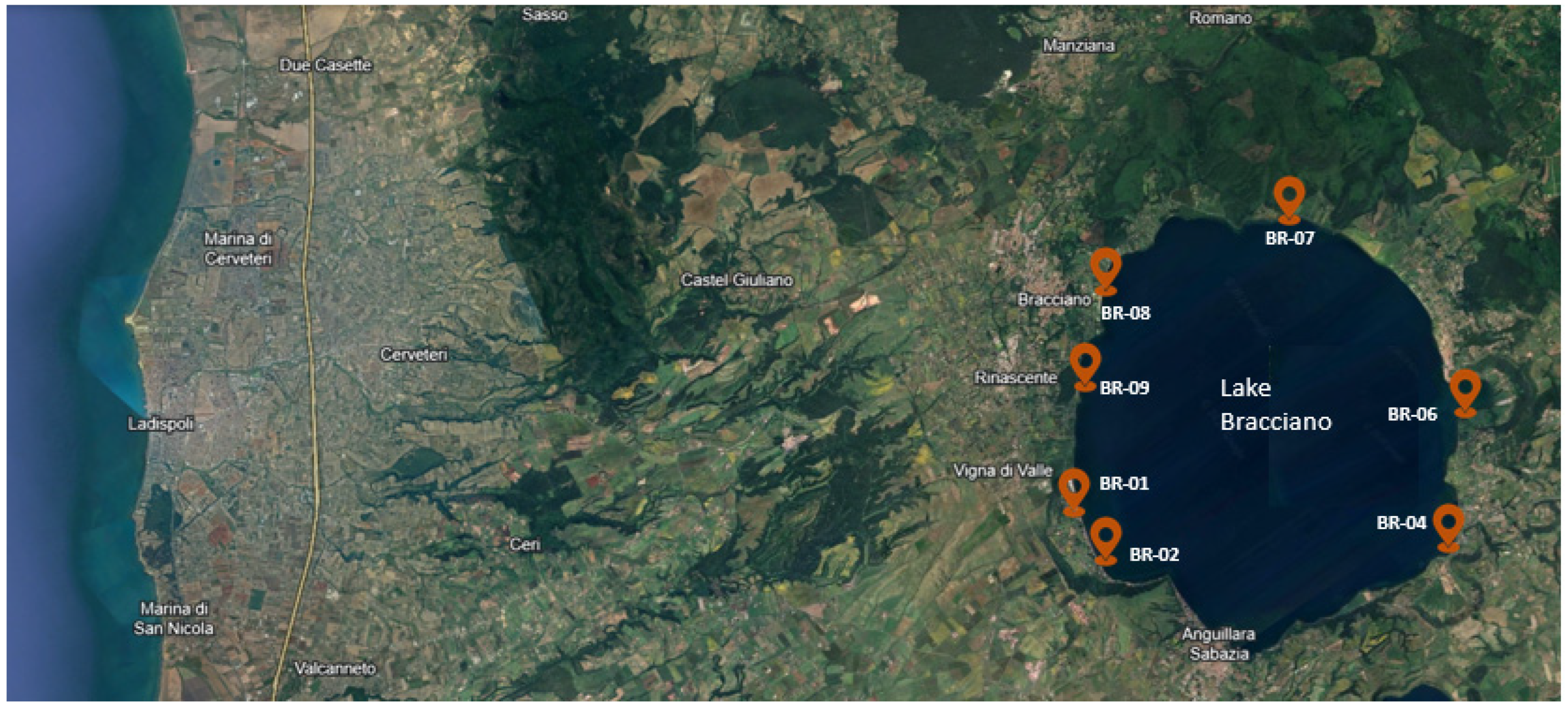 Antibiotics 13 00339 g004