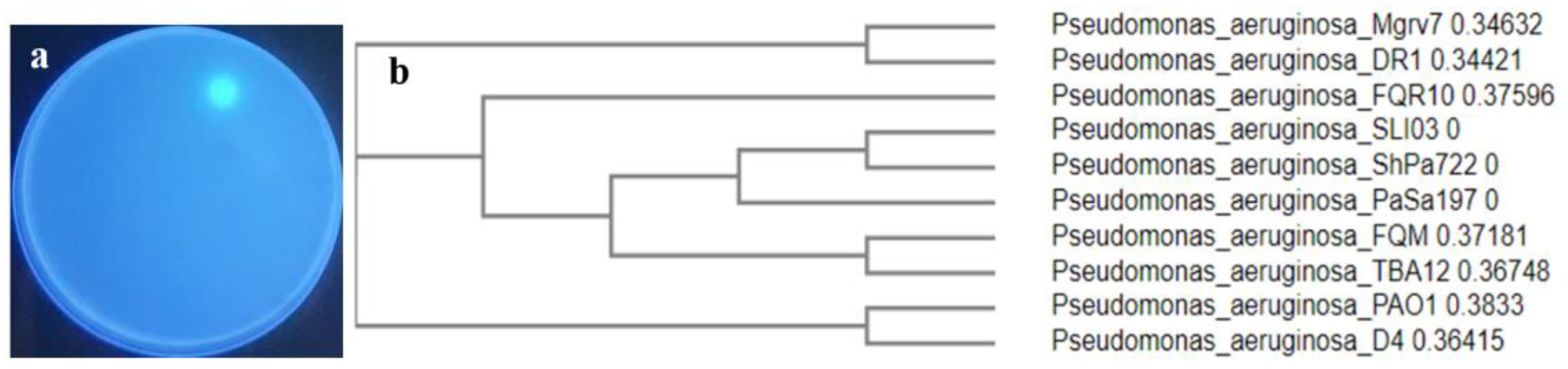 Antibiotics 13 00347 g001