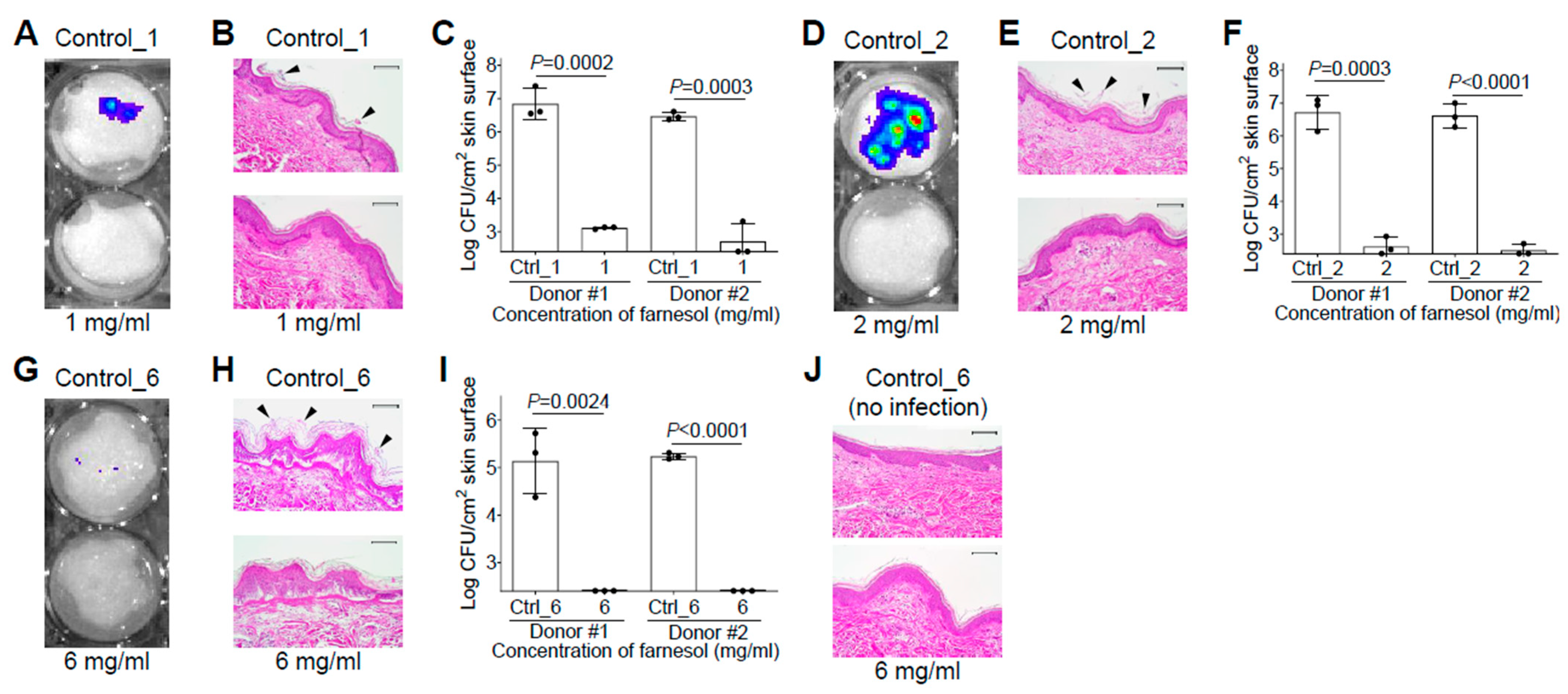 Antibiotics 13 00350 g006