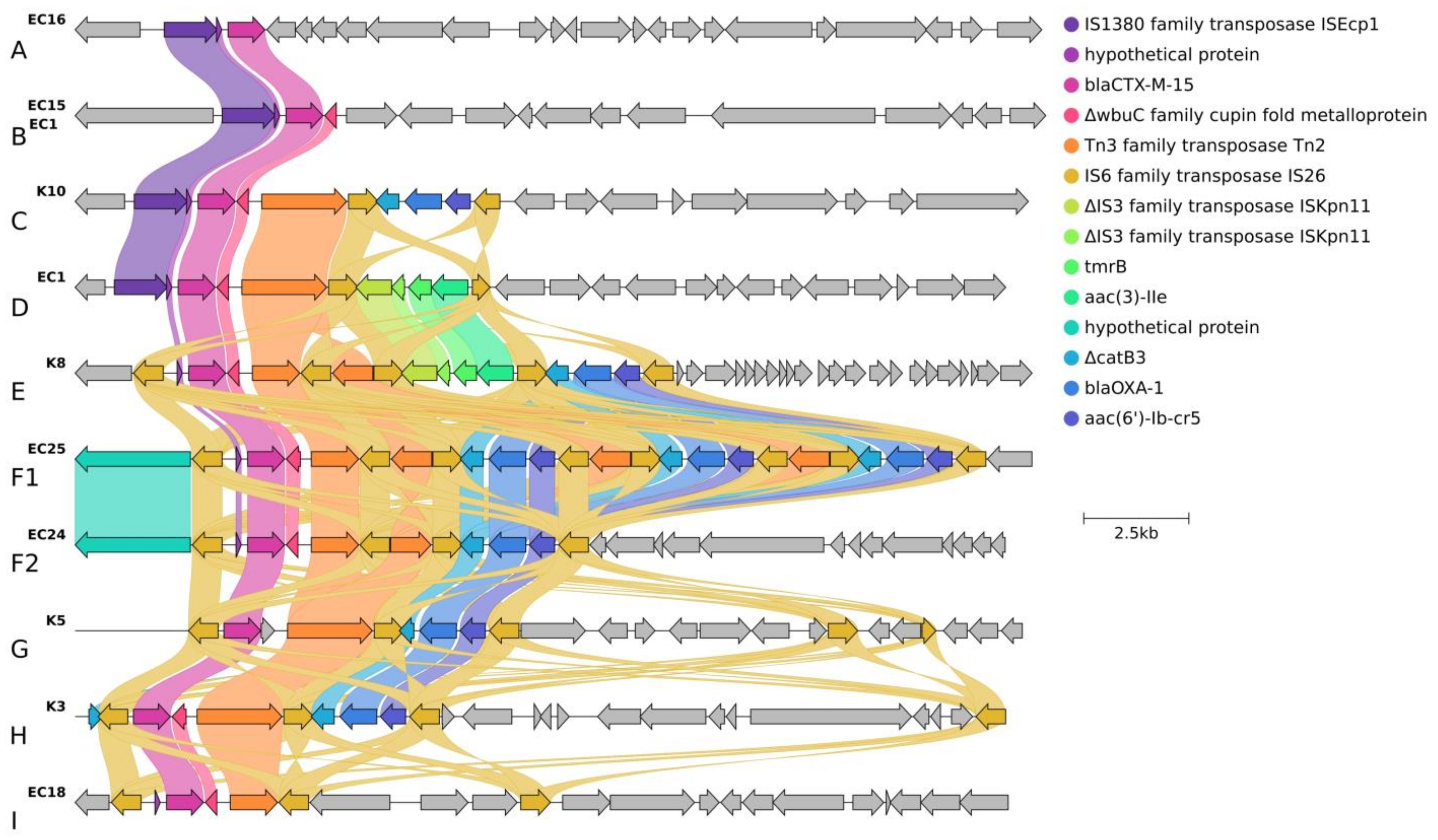 Antibiotics 13 00363 g002