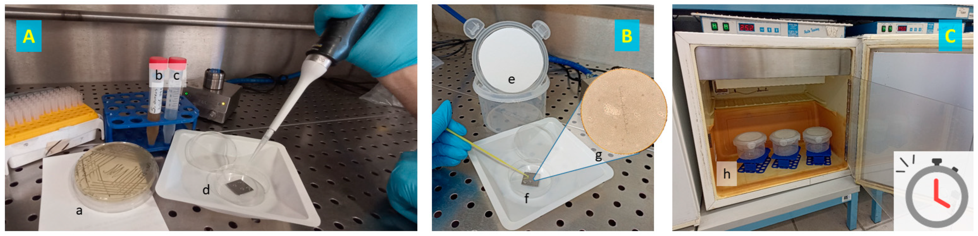 Antibiotics 13 00371 g003 Antibiotics 13 00371 g003