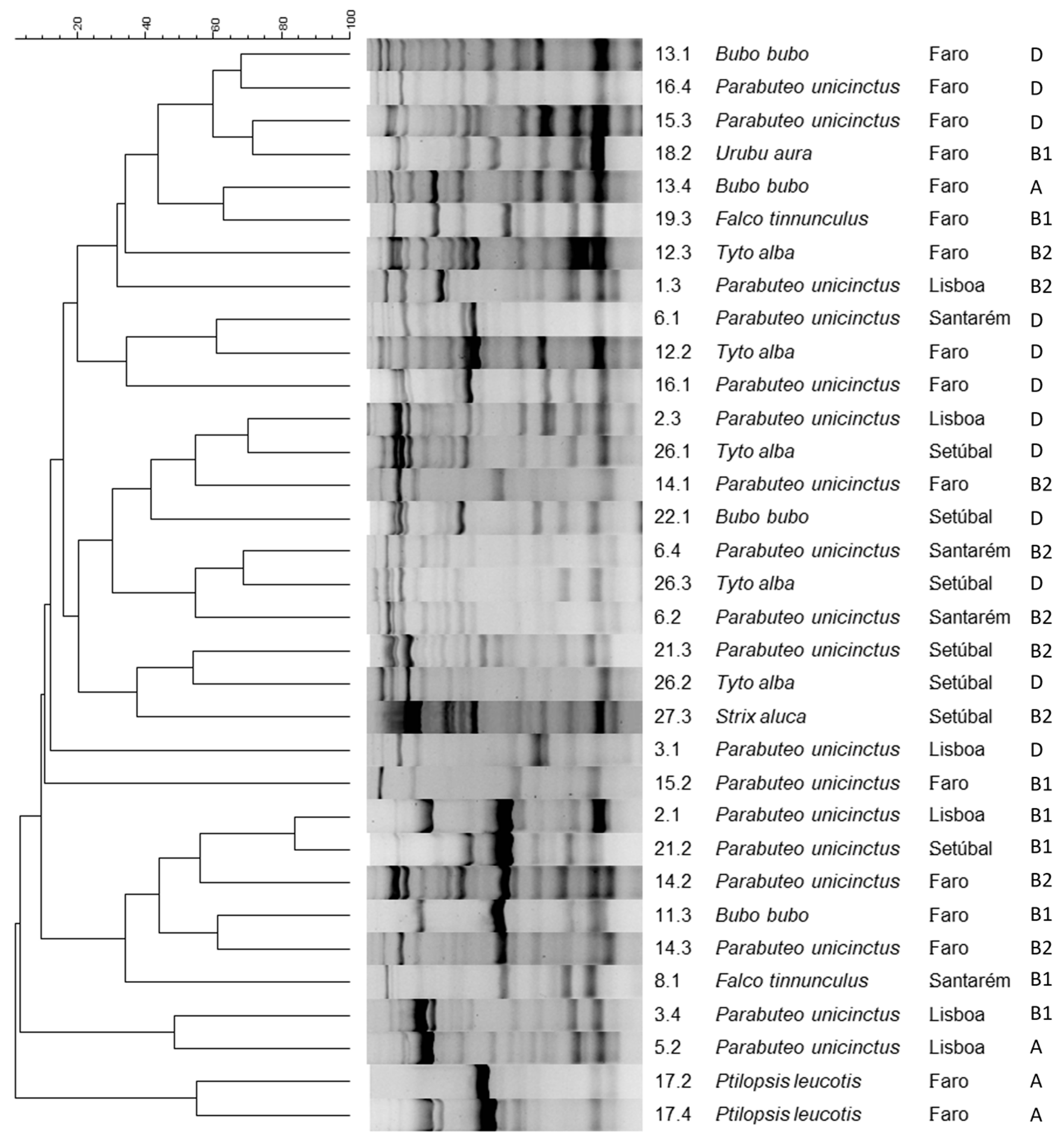 Antibiotics 13 00379 g003