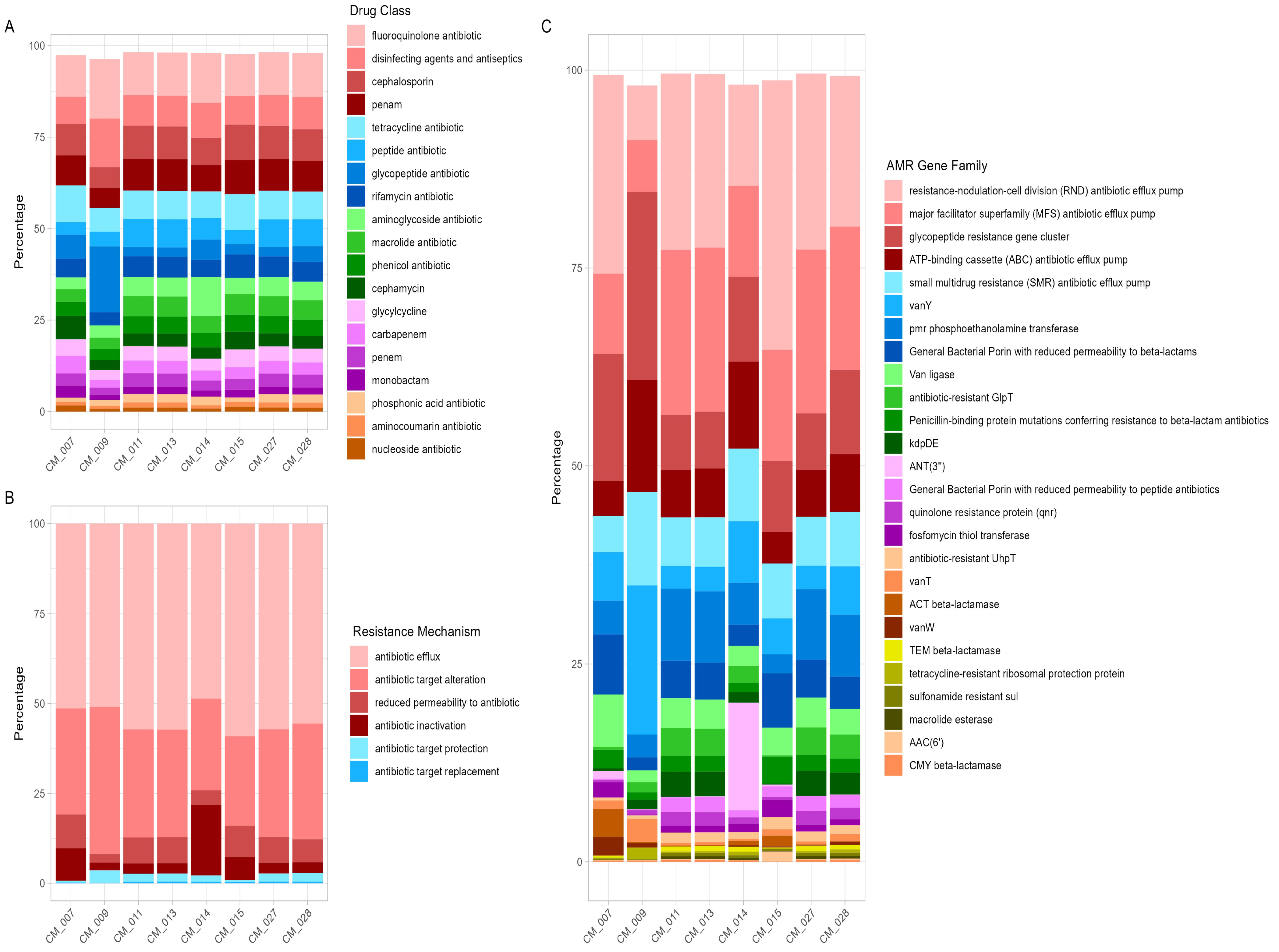 Antibiotics 13 00380 g001