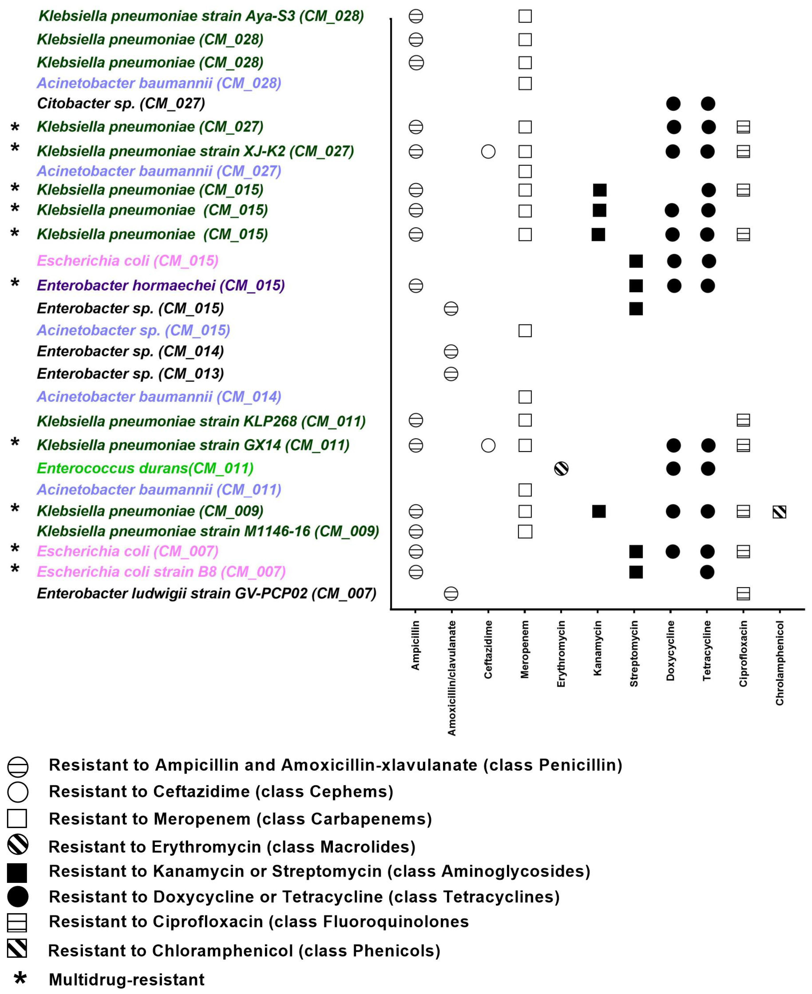 Antibiotics 13 00380 g003