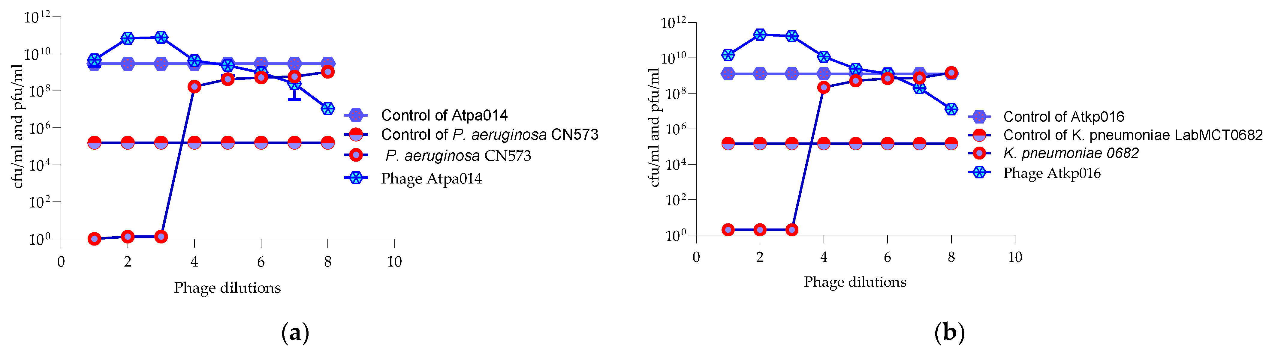 Antibiotics 13 00385 g005