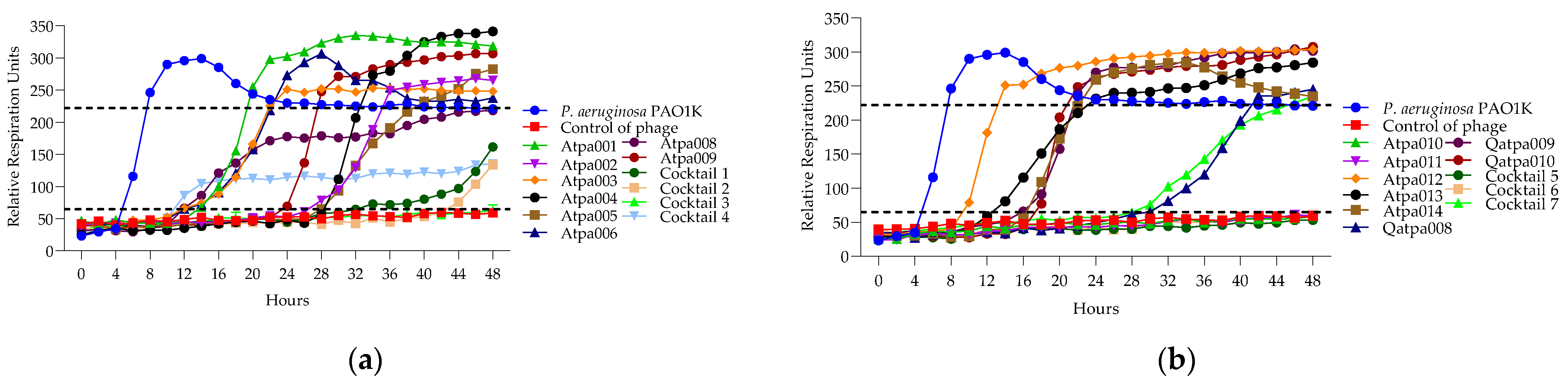 Antibiotics 13 00385 g007