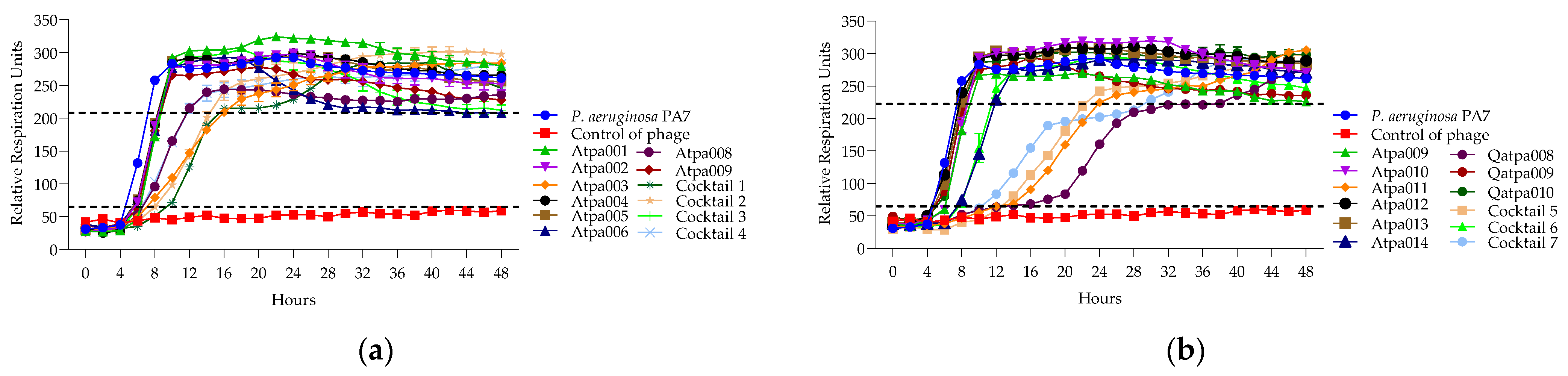 Antibiotics 13 00385 g010