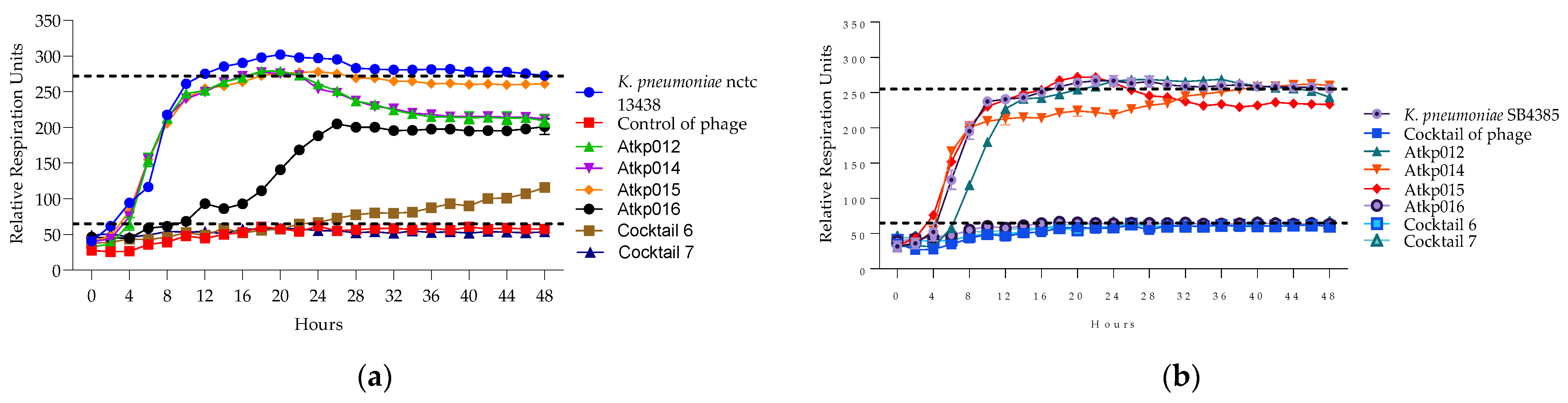 Antibiotics 13 00385 g013