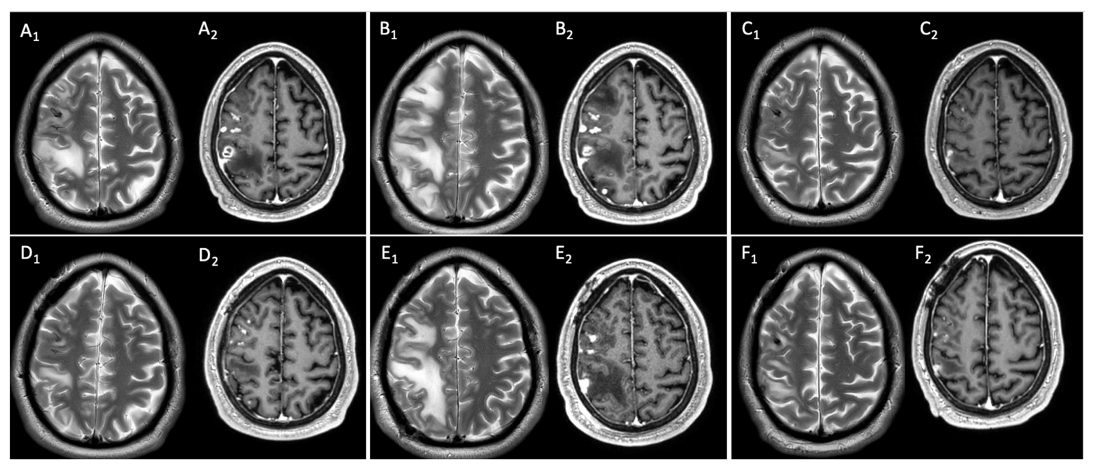 Antibiotics 13 00387 g002