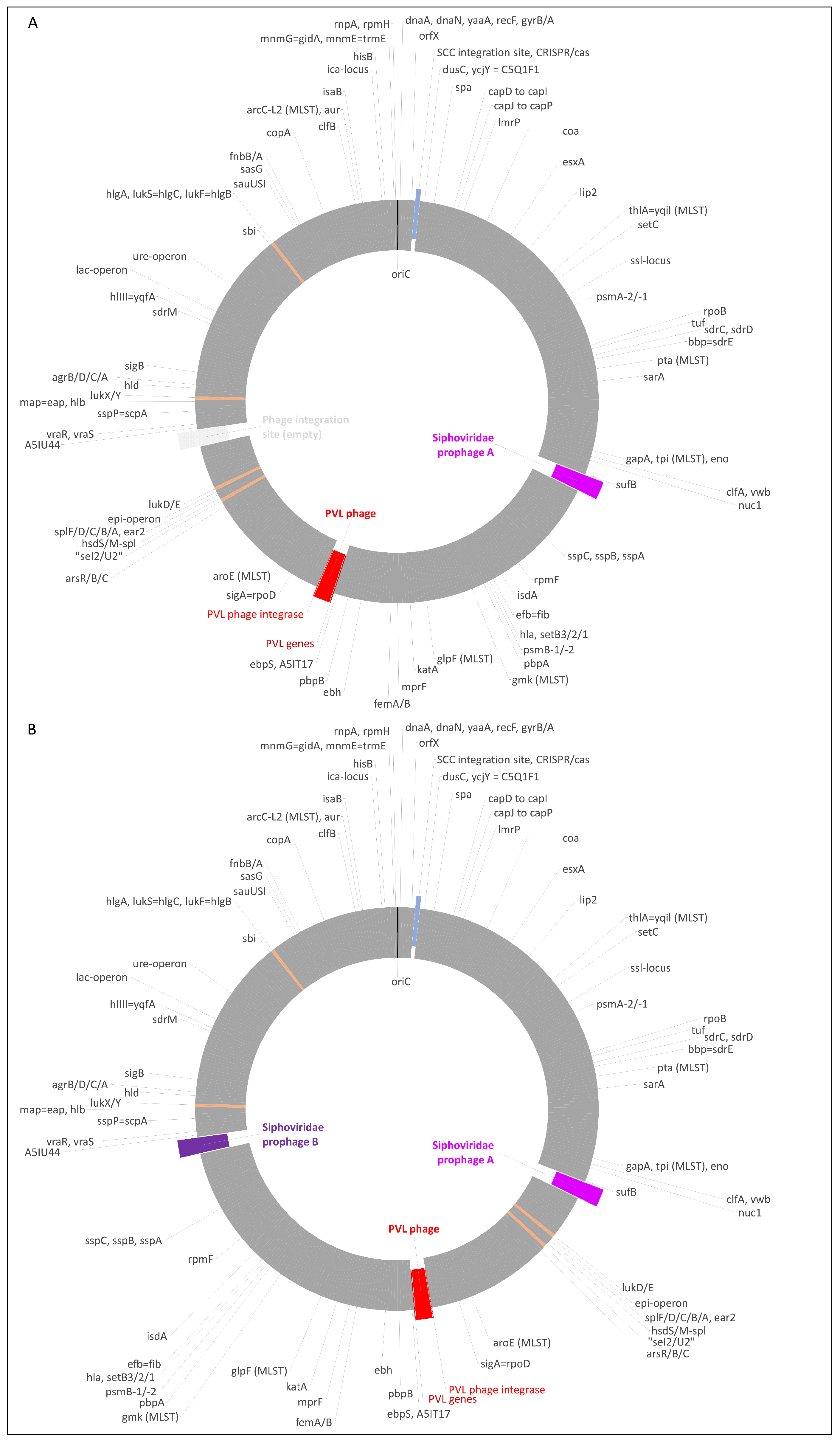 Antibiotics 13 00401 g001 Antibiotics 13 00401 g001