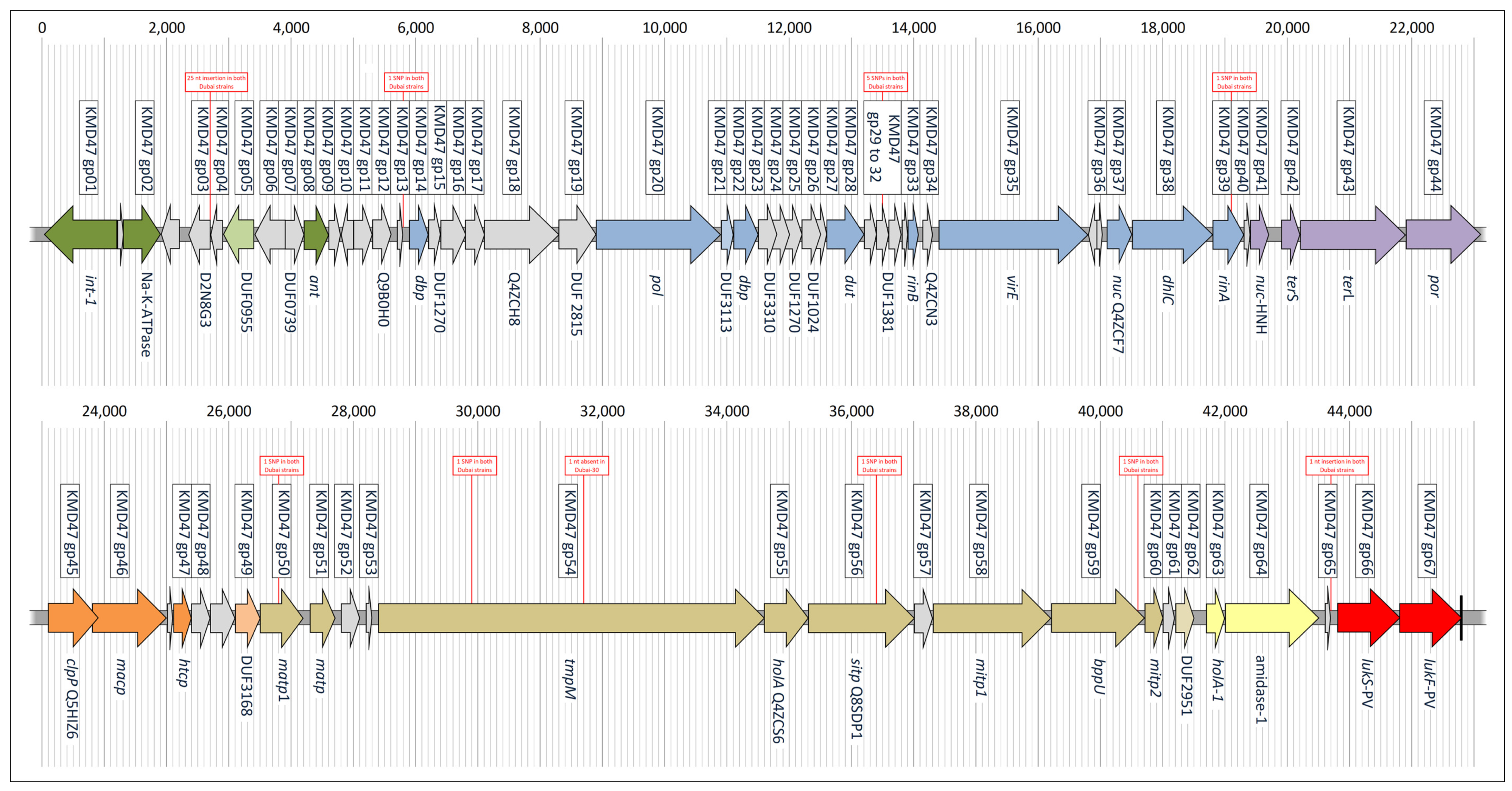 Antibiotics 13 00401 g002 Antibiotics 13 00401 g002
