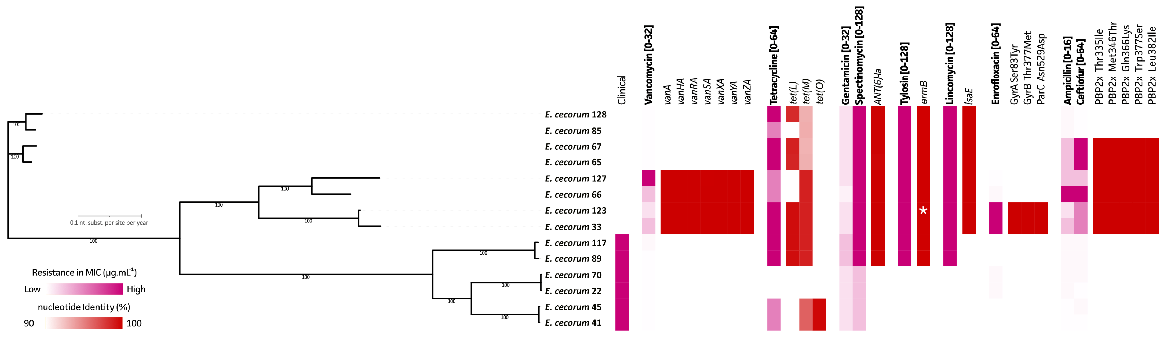 Antibiotics 13 00409 g003