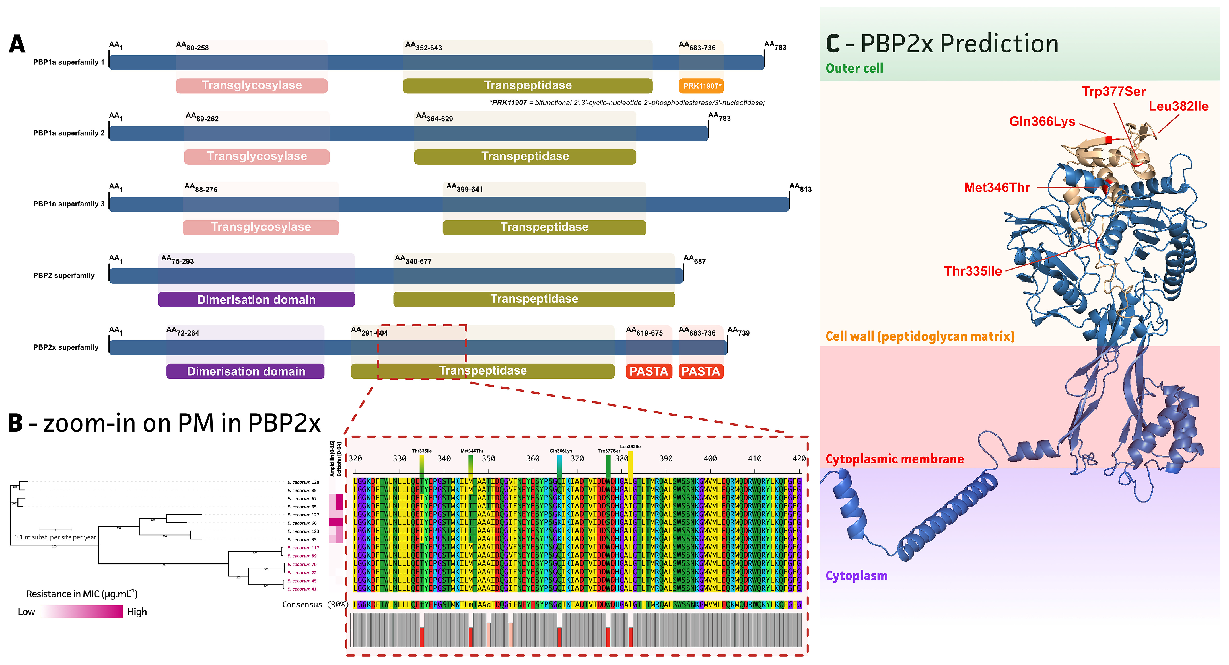 Antibiotics 13 00409 g004