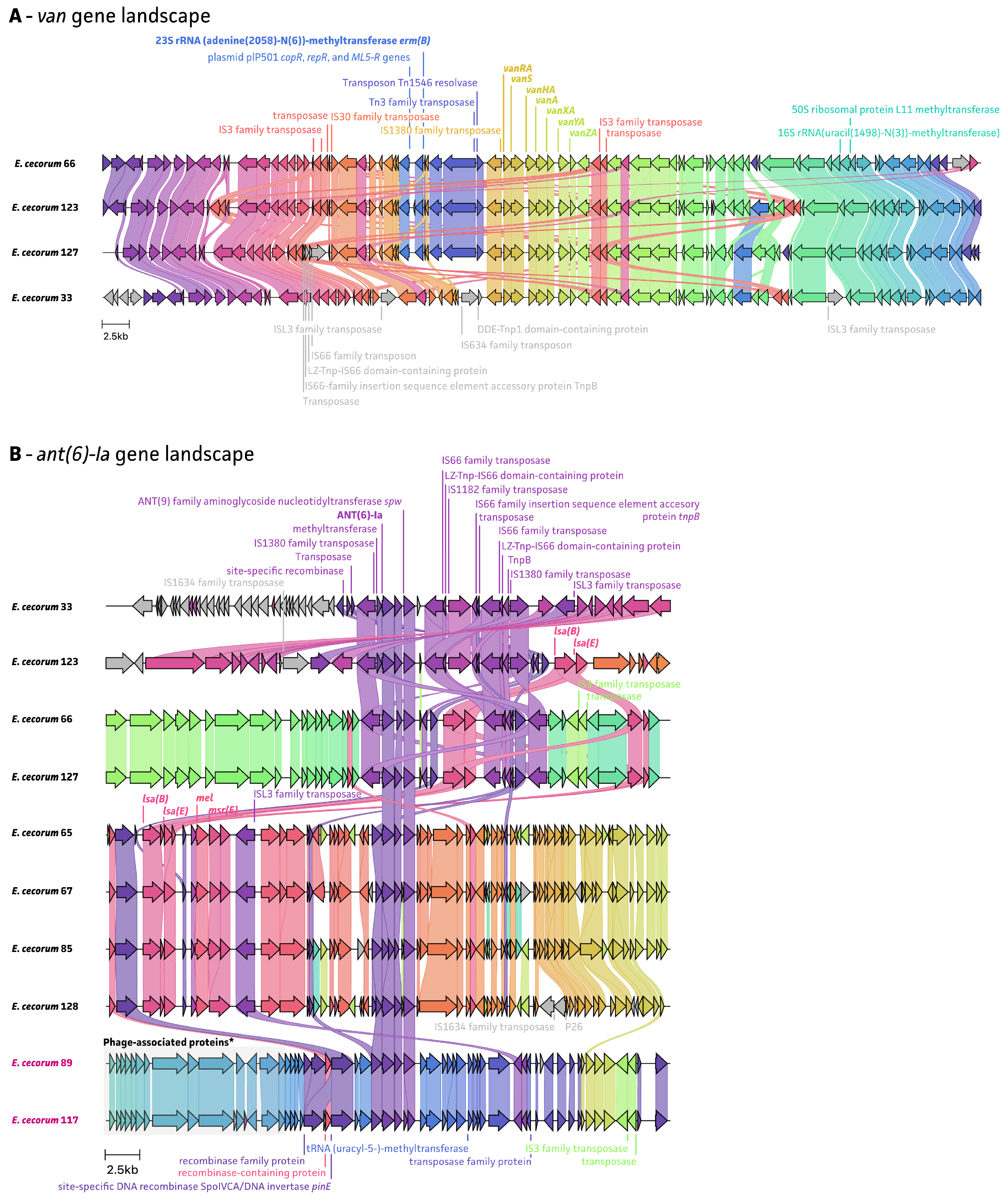 Antibiotics 13 00409 g005