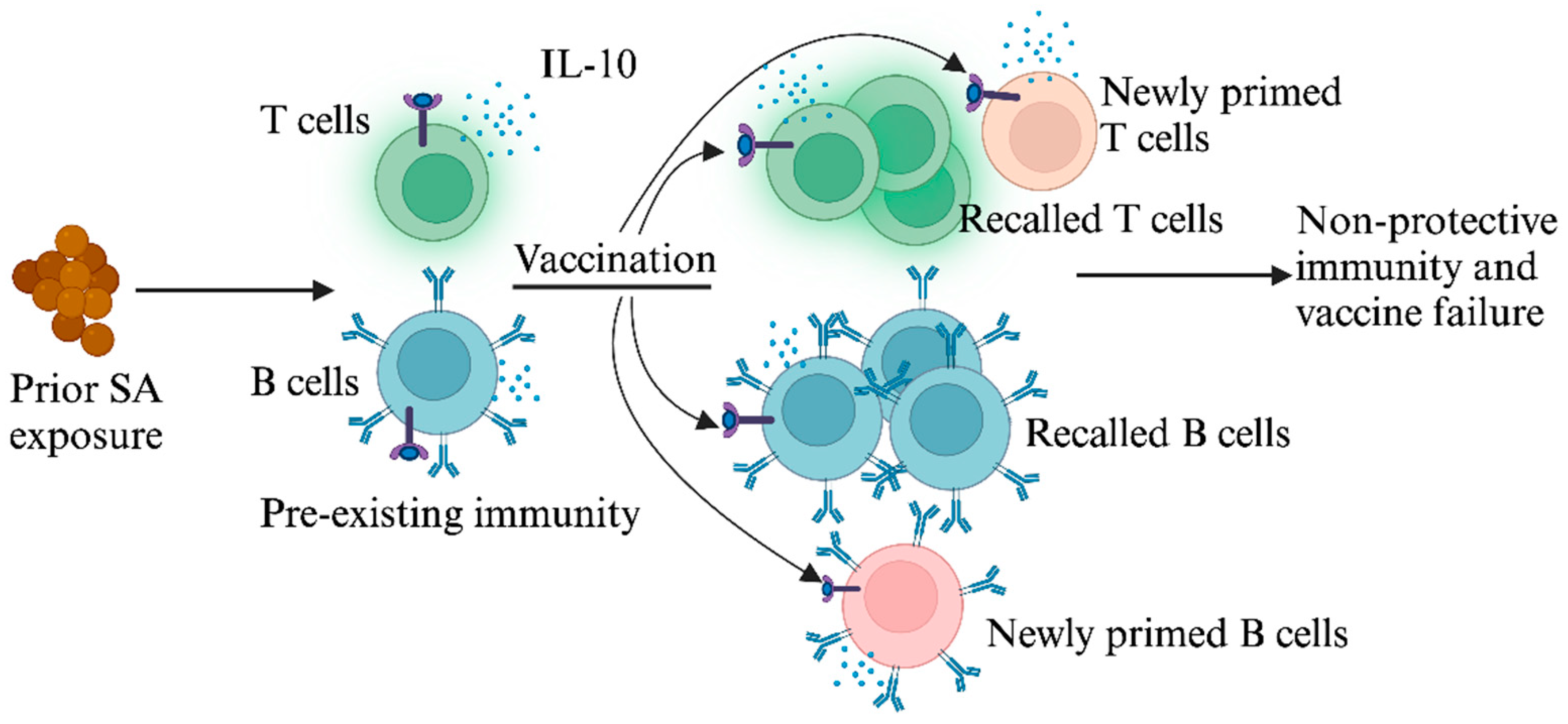 Antibiotics 13 00410 g001 Antibiotics 13 00410 g001