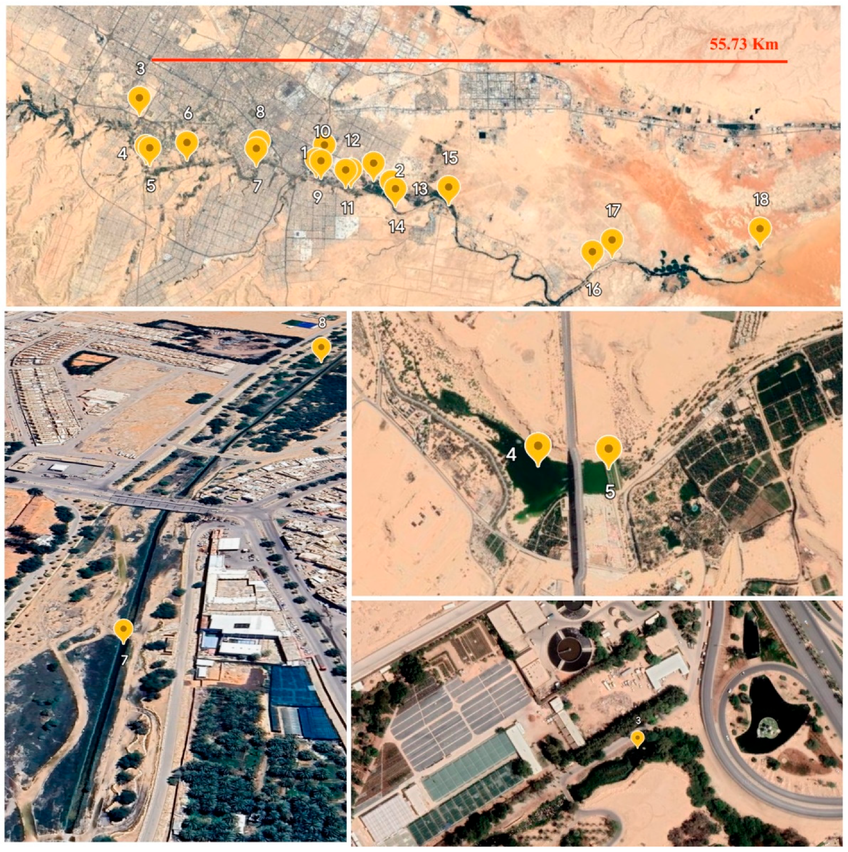 Antibiotics 13 00426 g001