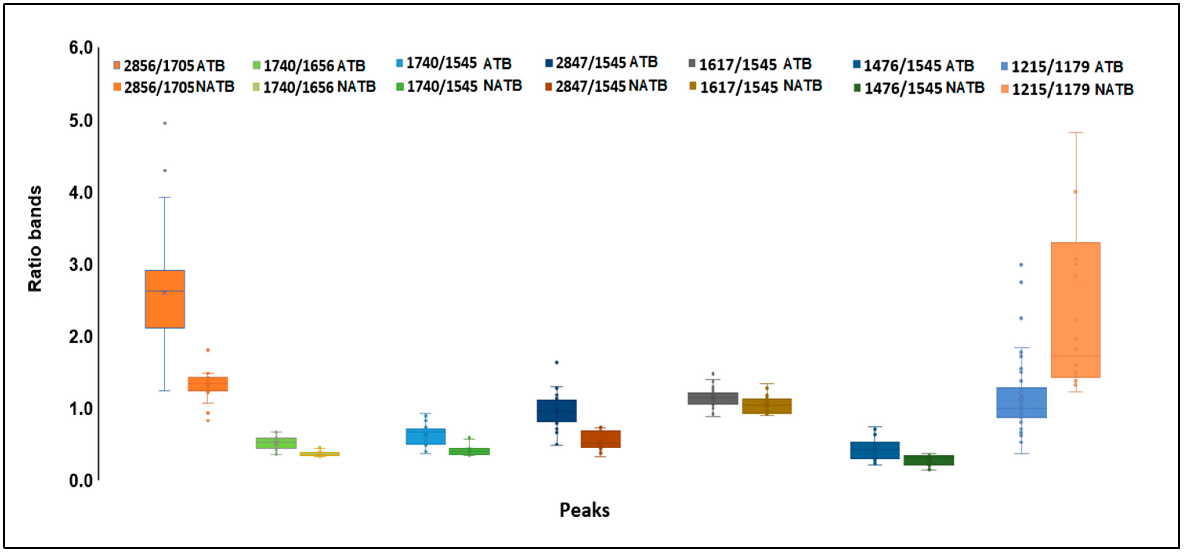 Antibiotics 13 00428 g004