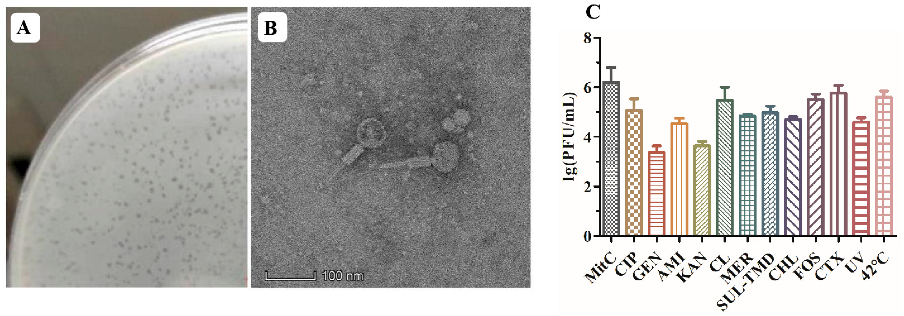 Antibiotics 13 00446 g001 Antibiotics 13 00446 g001