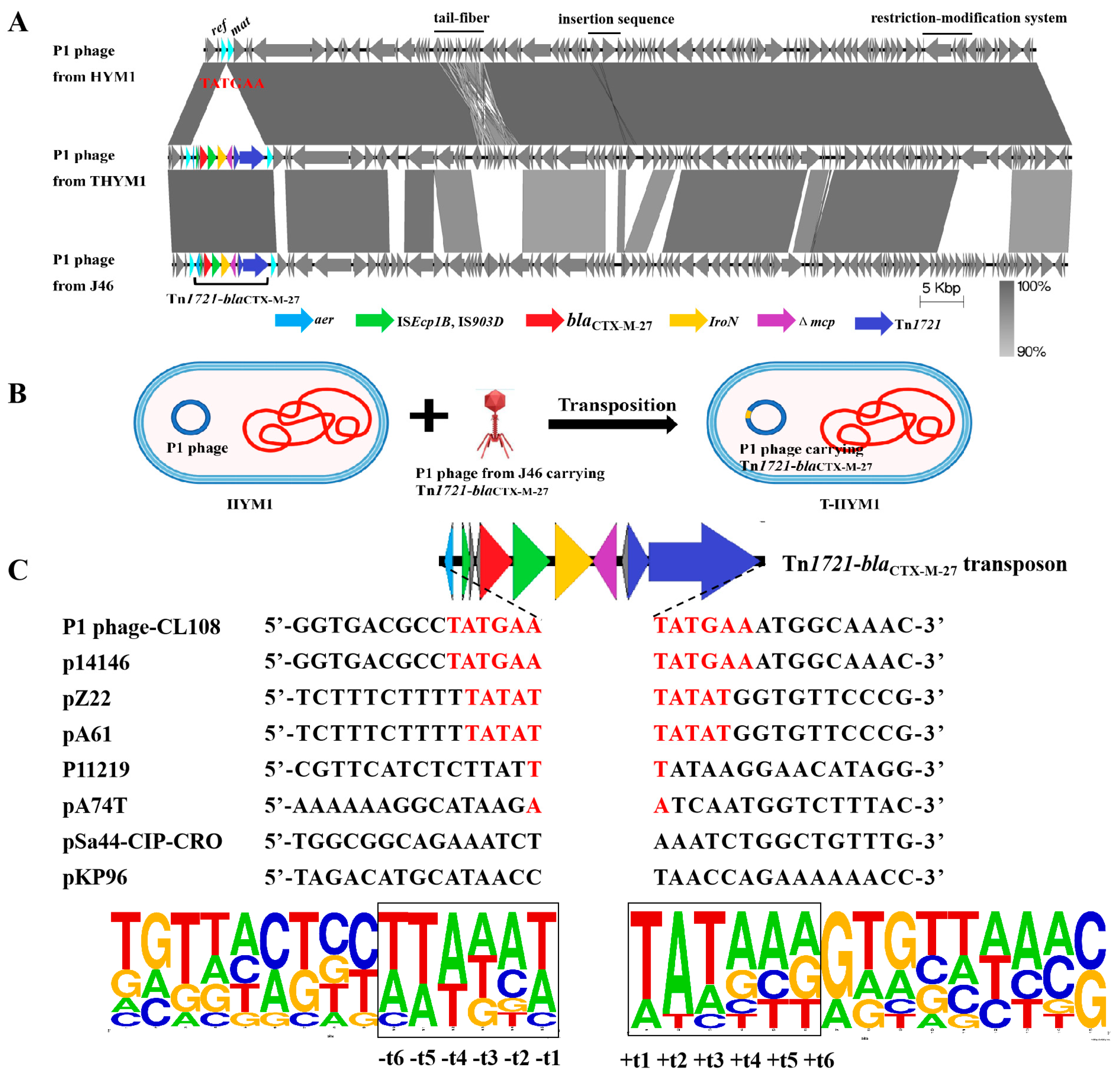 Antibiotics 13 00446 g002 Antibiotics 13 00446 g002