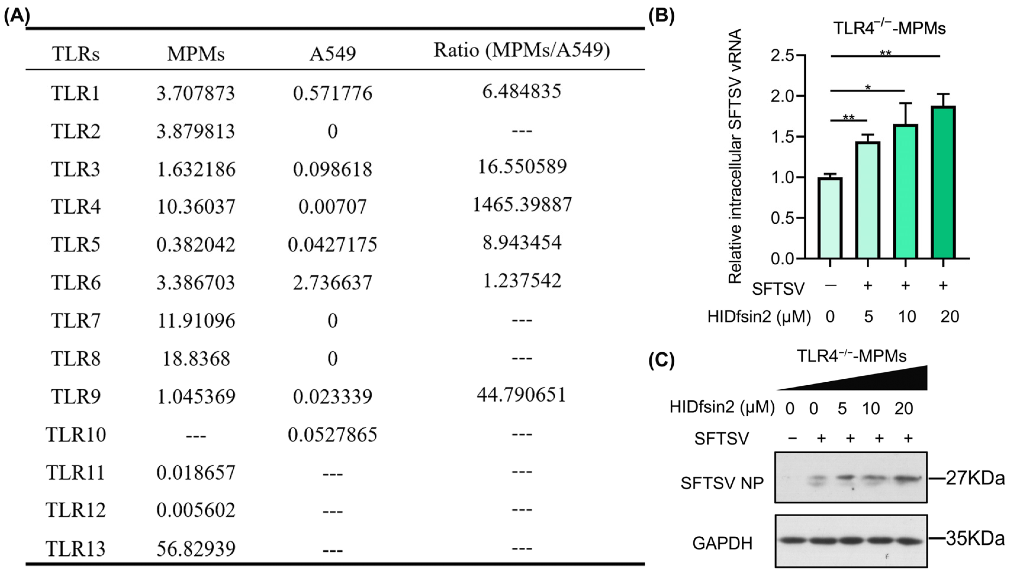 Antibiotics 13 00449 g002