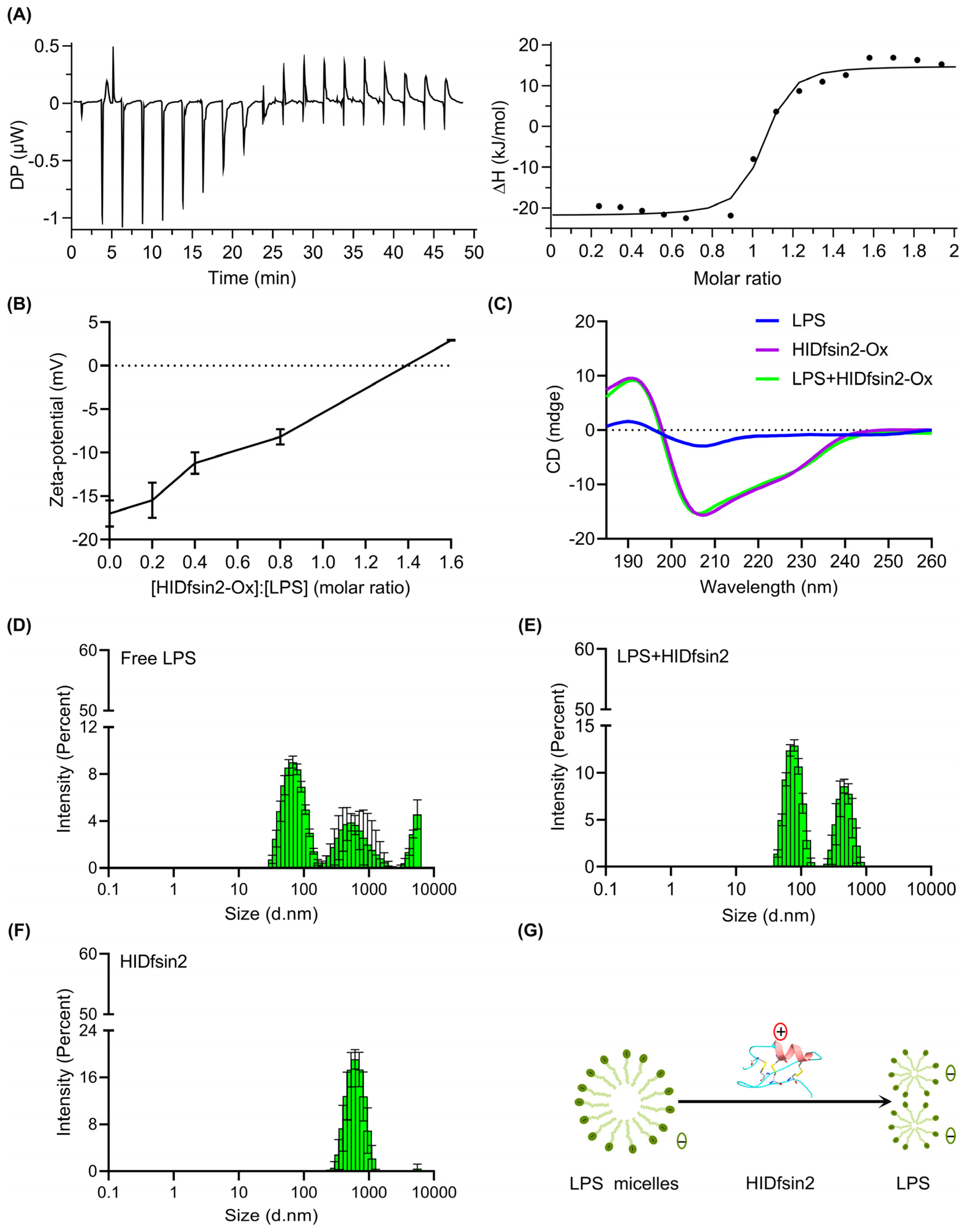Antibiotics 13 00449 g003