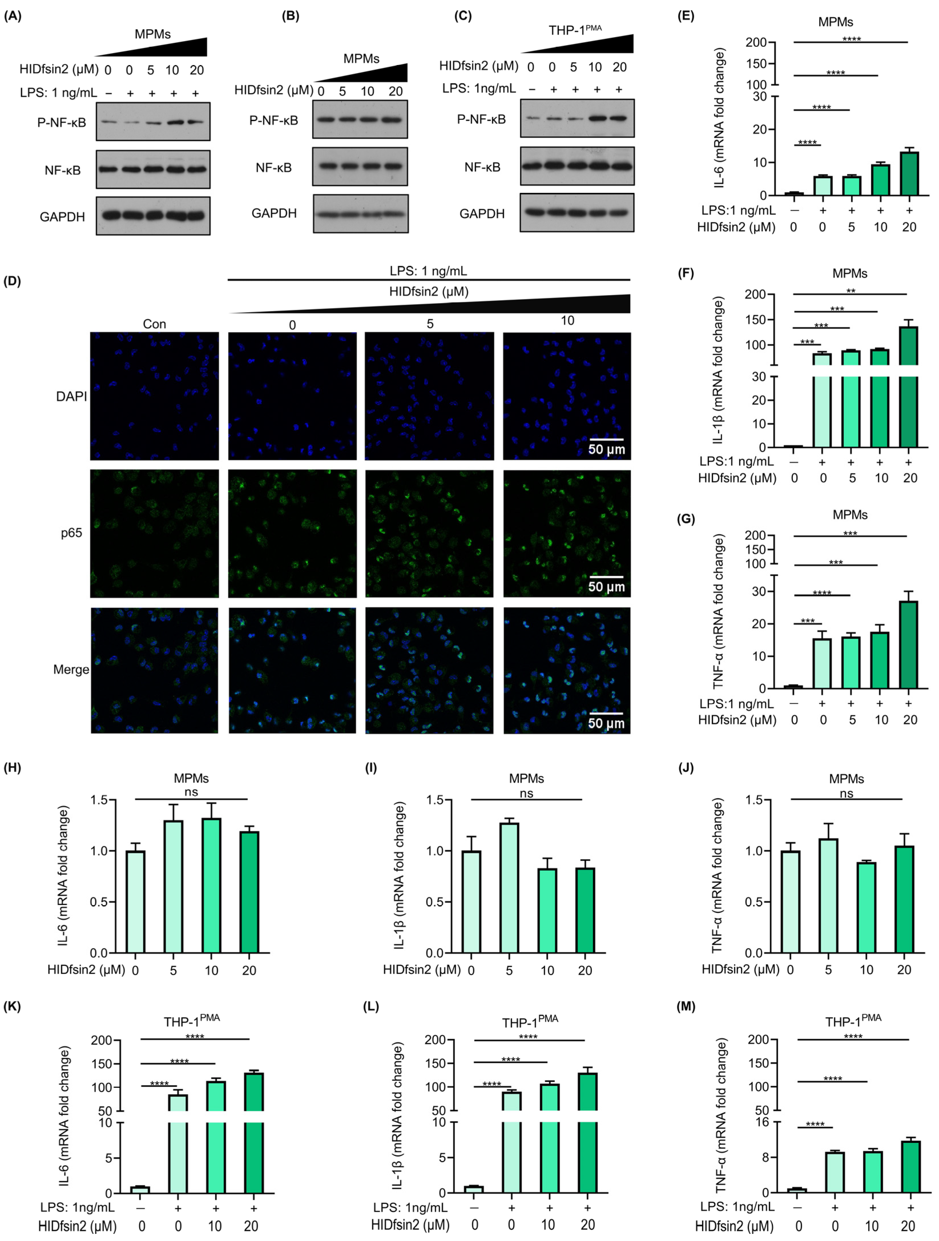 Antibiotics 13 00449 g004