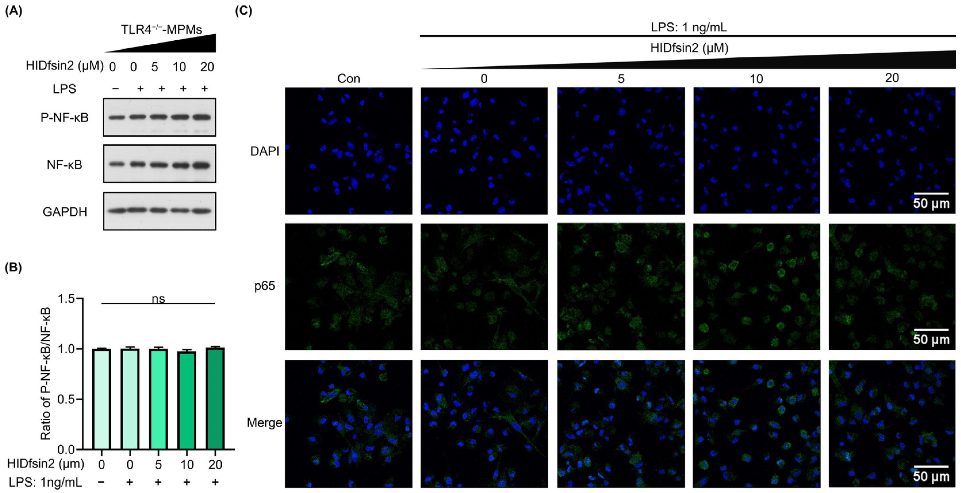 Antibiotics 13 00449 g006