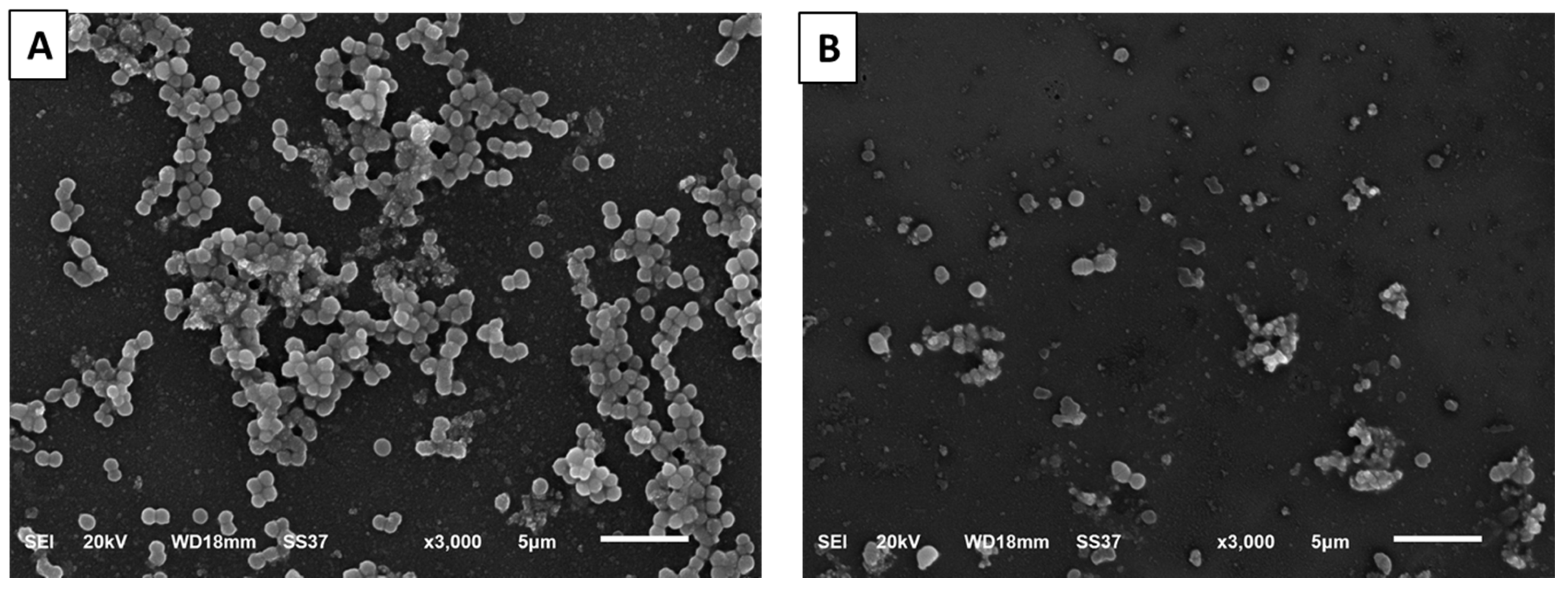 Antibiotics 13 00450 g004 Antibiotics 13 00450 g004