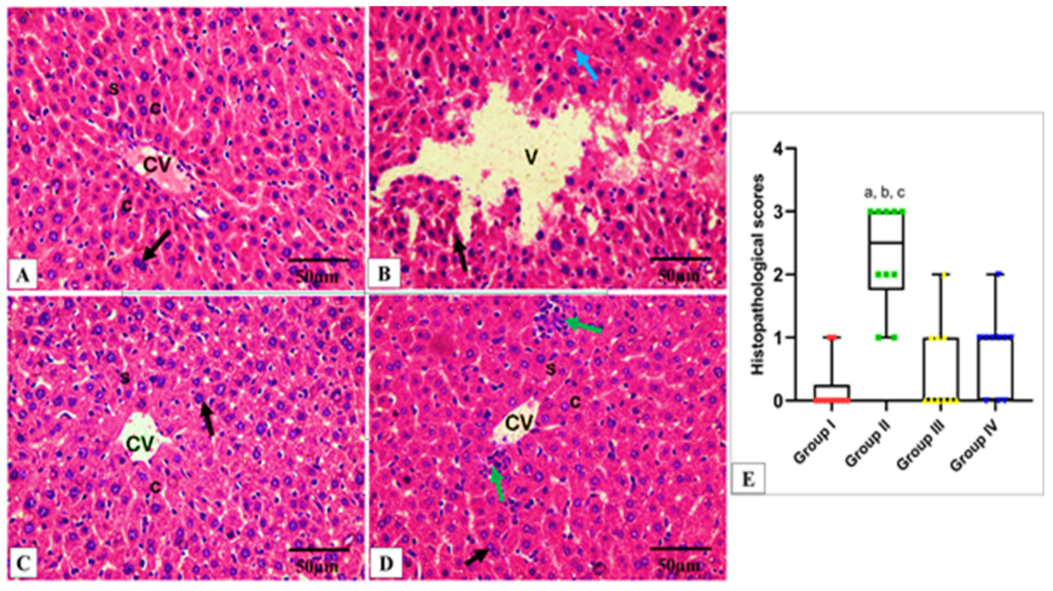Antibiotics 13 00450 g008 Antibiotics 13 00450 g008