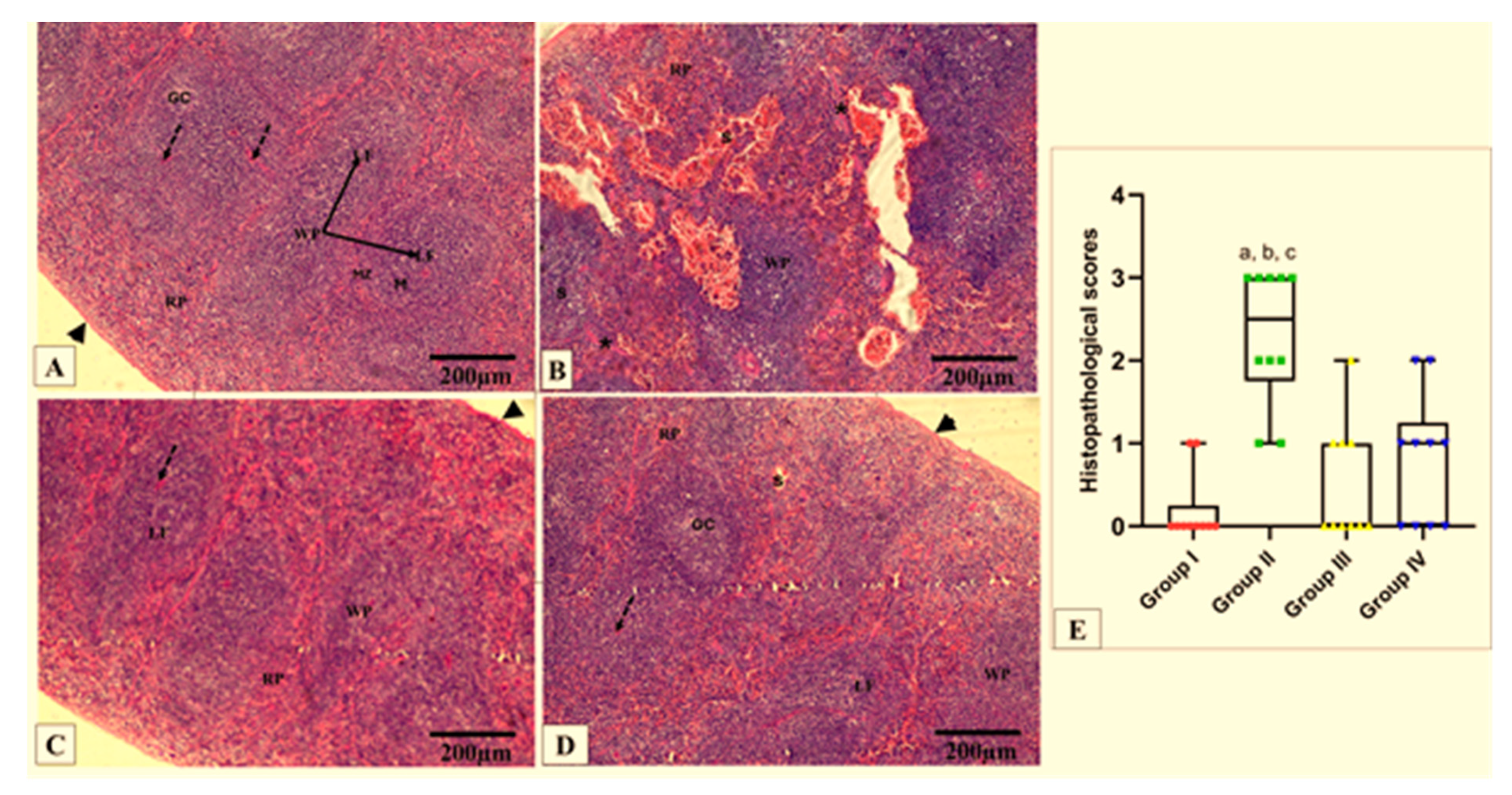 Antibiotics 13 00450 g009 Antibiotics 13 00450 g009