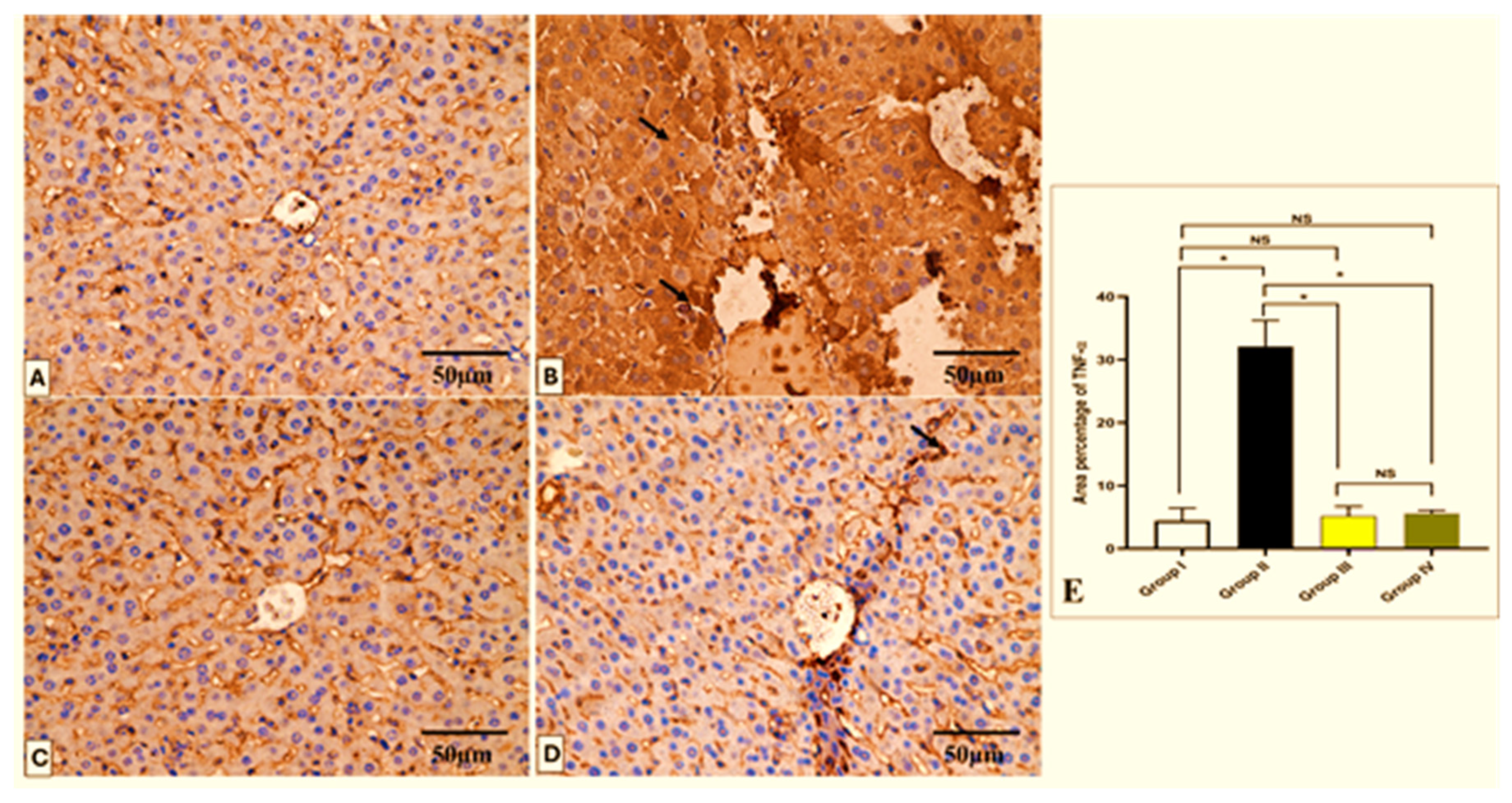 Antibiotics 13 00450 g010 Antibiotics 13 00450 g010