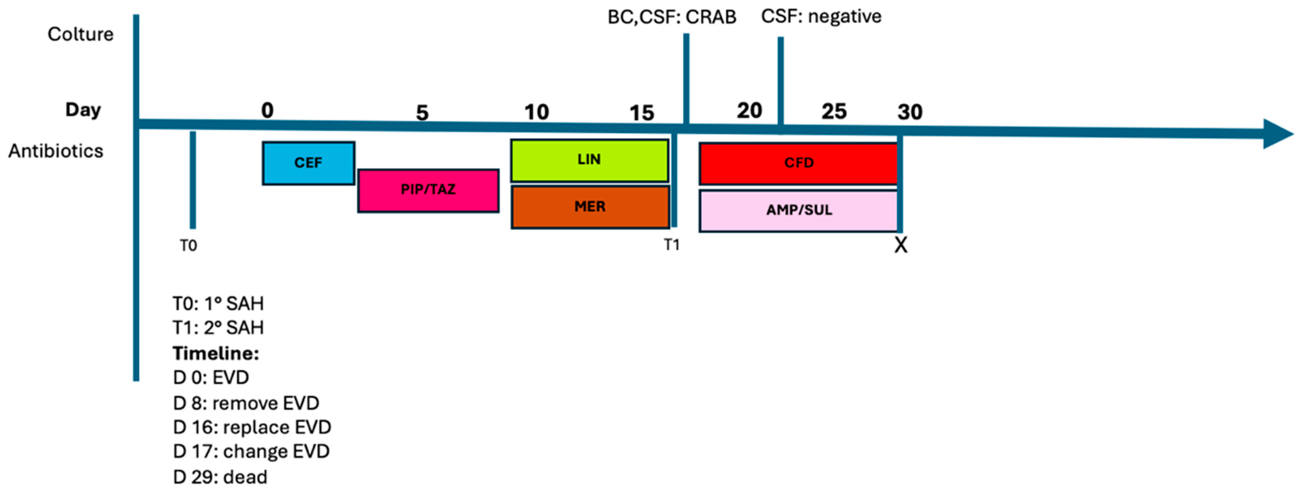 Antibiotics 13 00453 g002