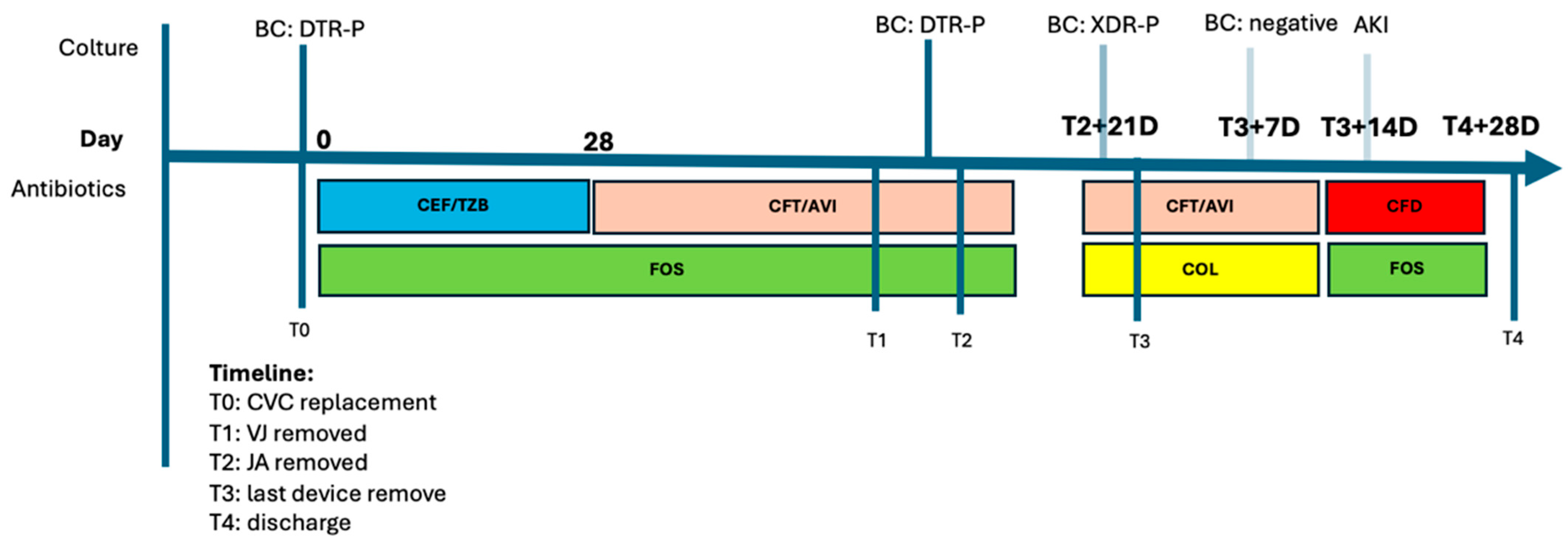 Antibiotics 13 00453 g003