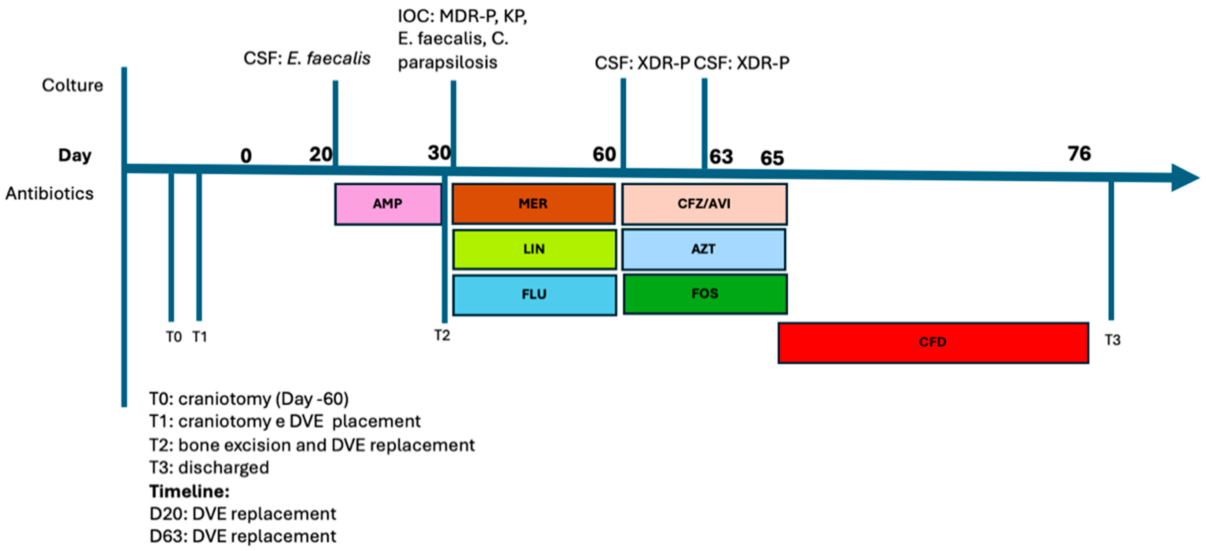 Antibiotics 13 00453 g004
