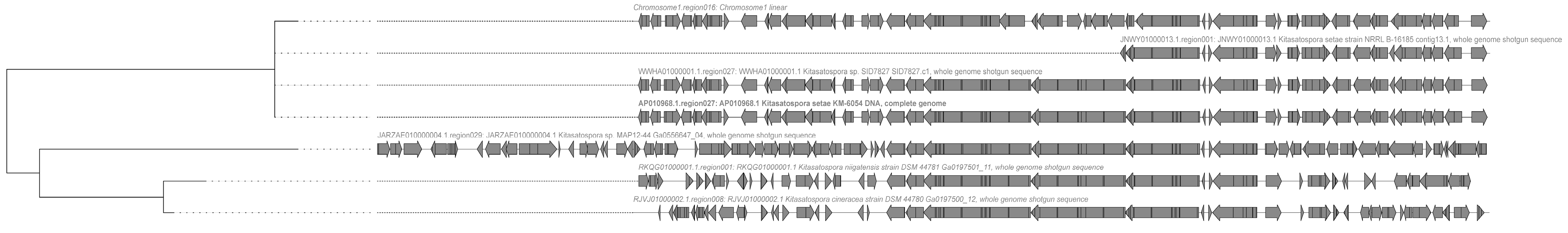 Antibiotics 13 00459 g004