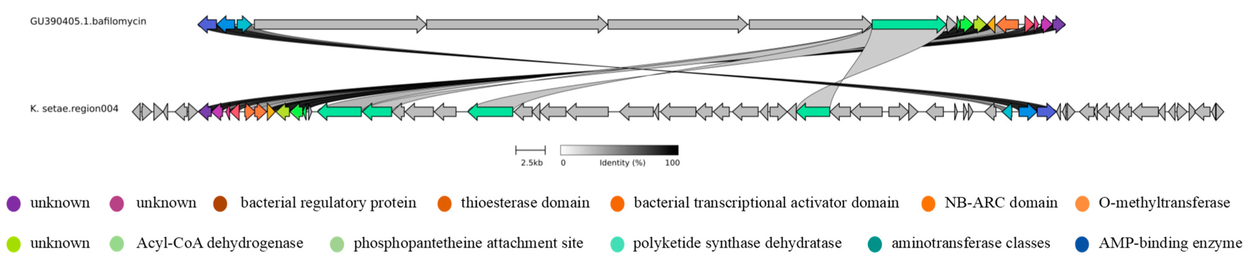Antibiotics 13 00459 g006
