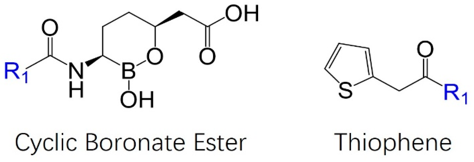 Antibiotics 13 00472 g003
