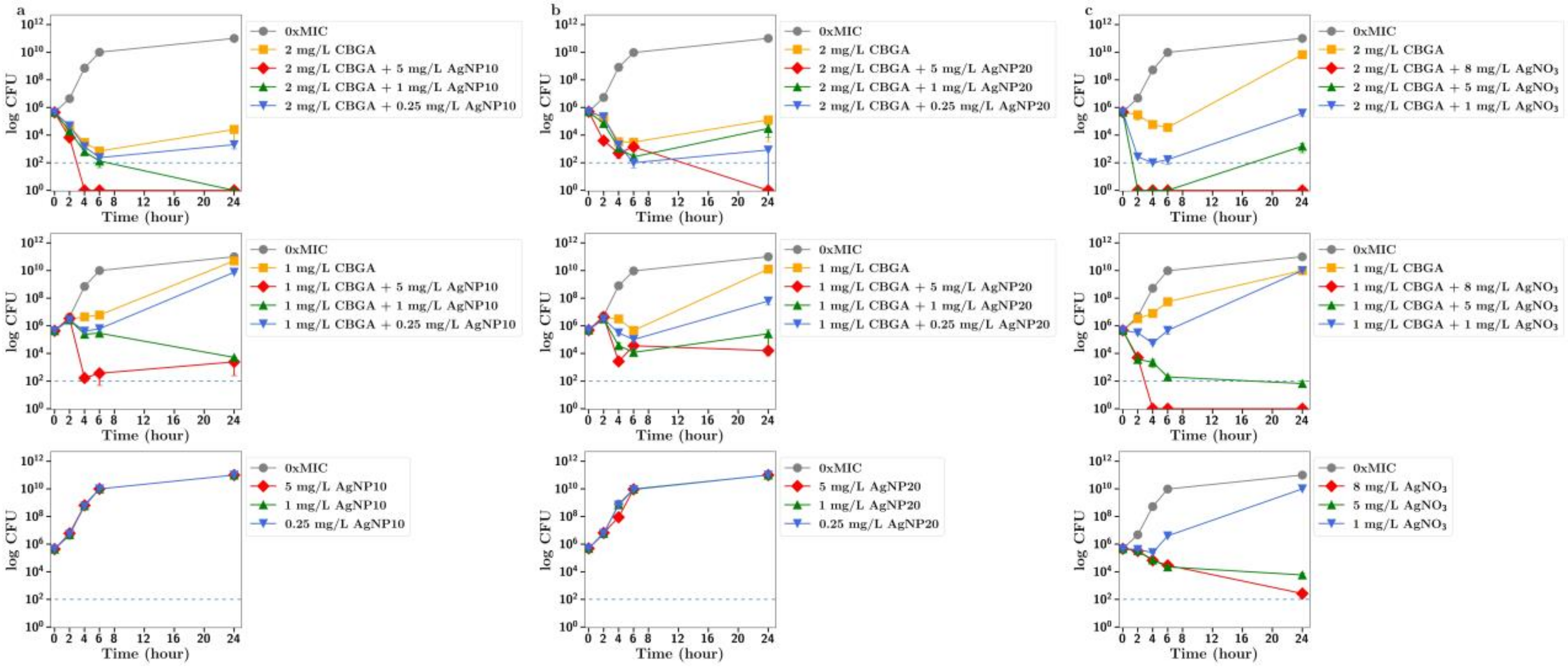 Antibiotics 13 00473 g003