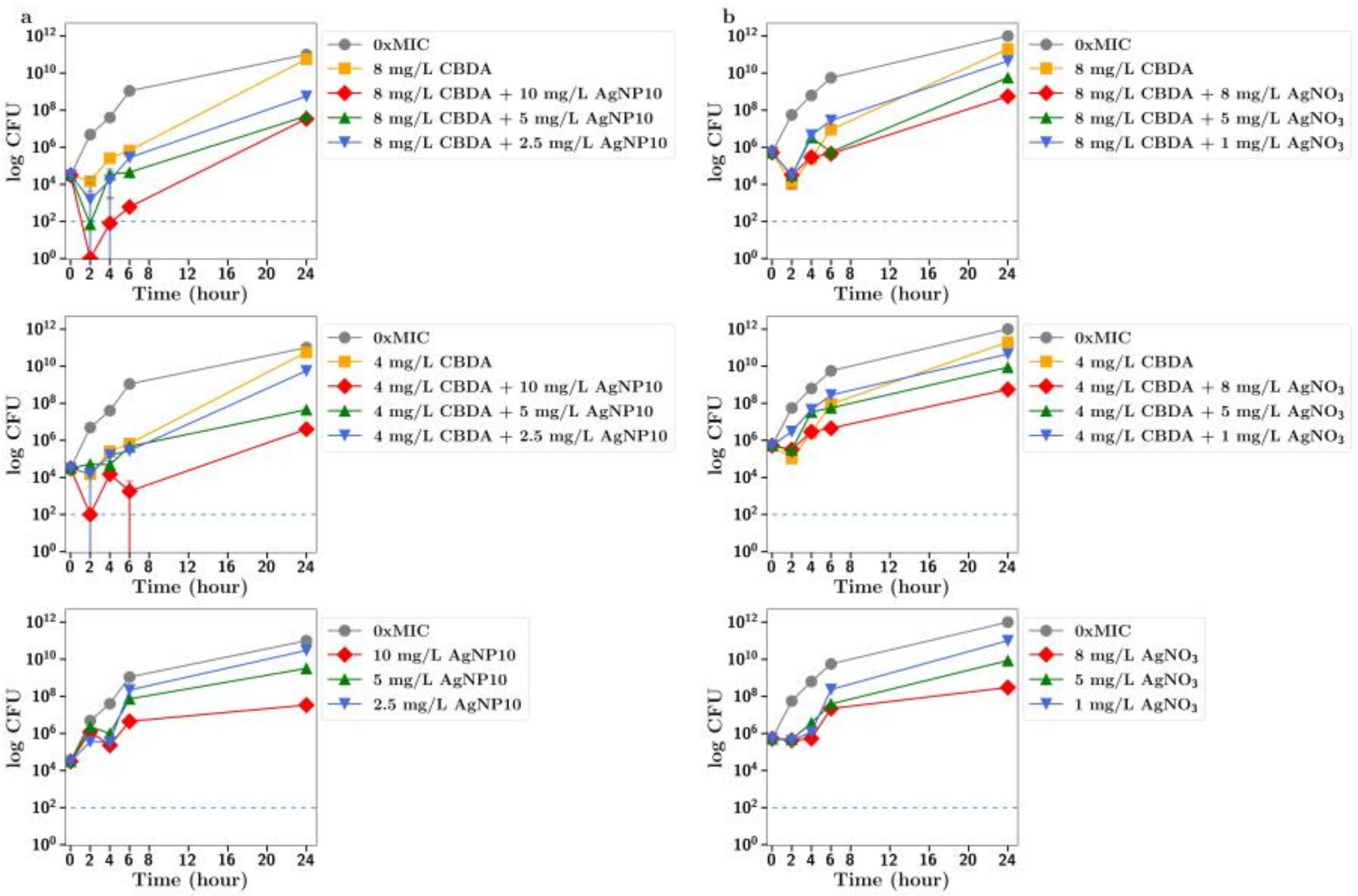 Antibiotics 13 00473 g007