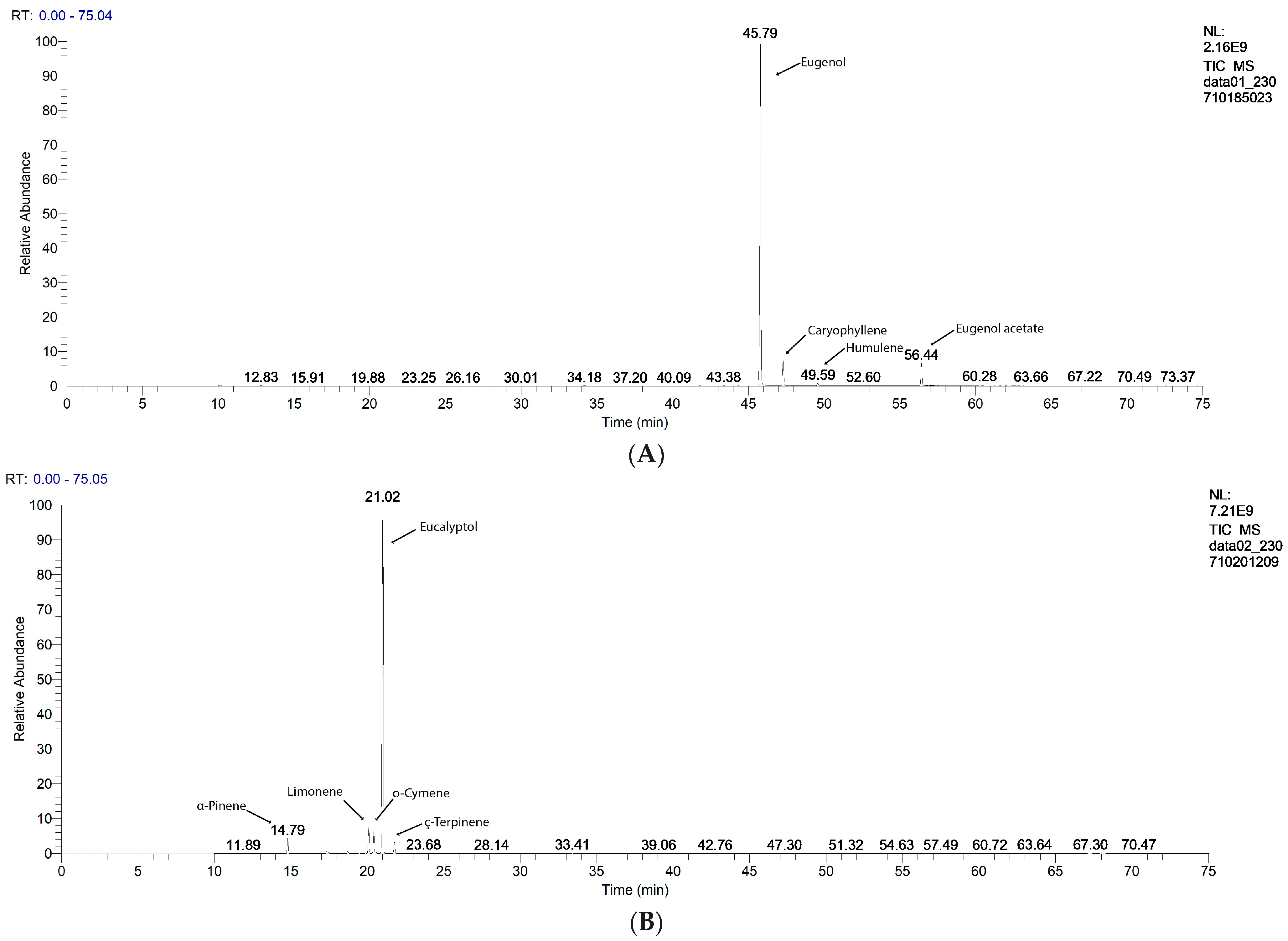 Antibiotics 13 00478 g001a Antibiotics 13 00478 g001a