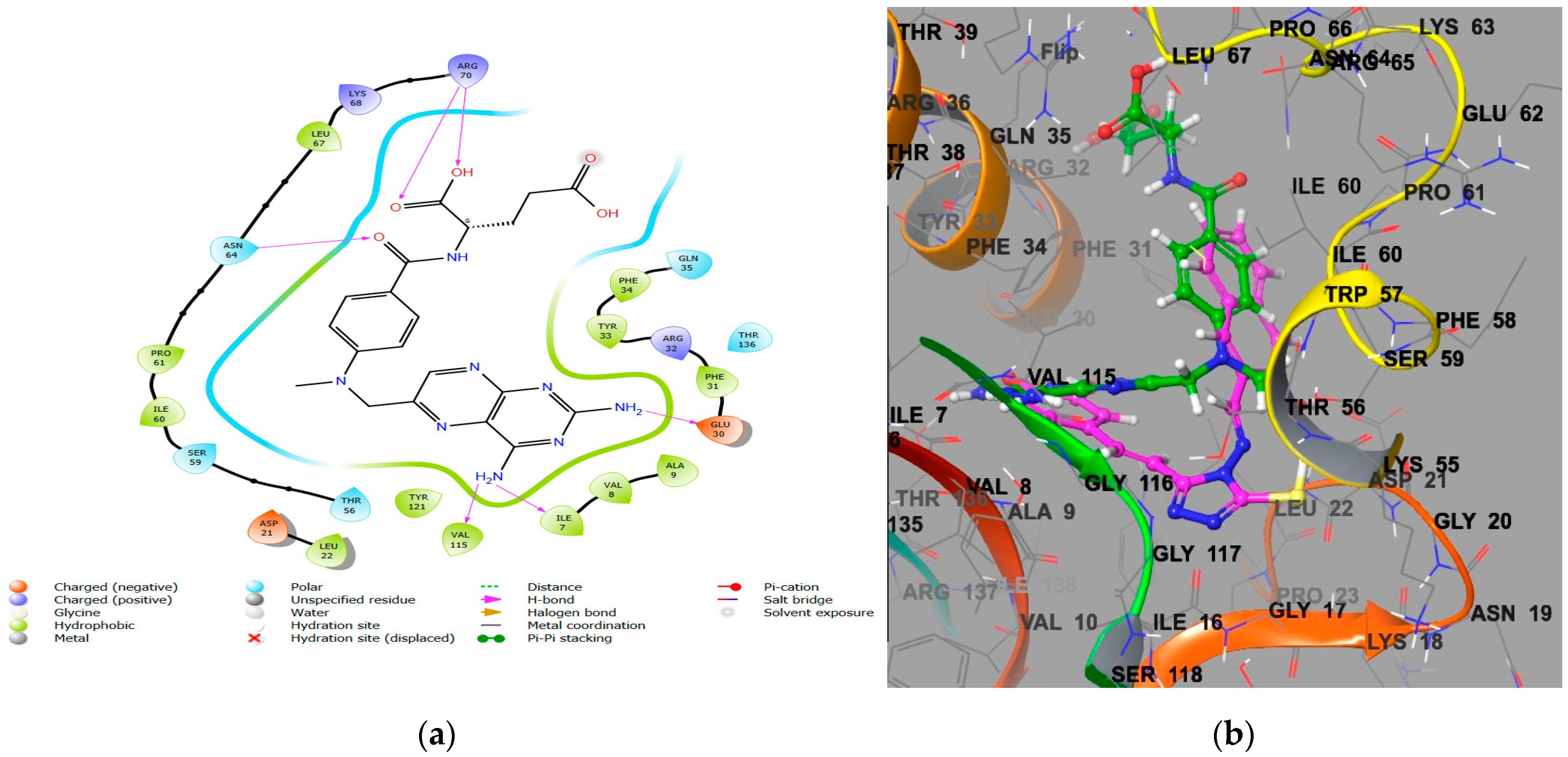 Antibiotics 13 00479 g002